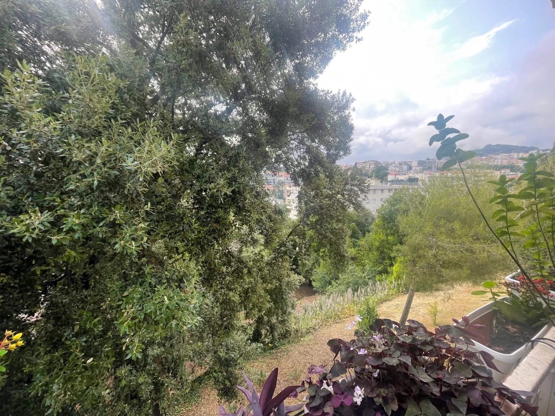 Sale Apartment Le Cannet