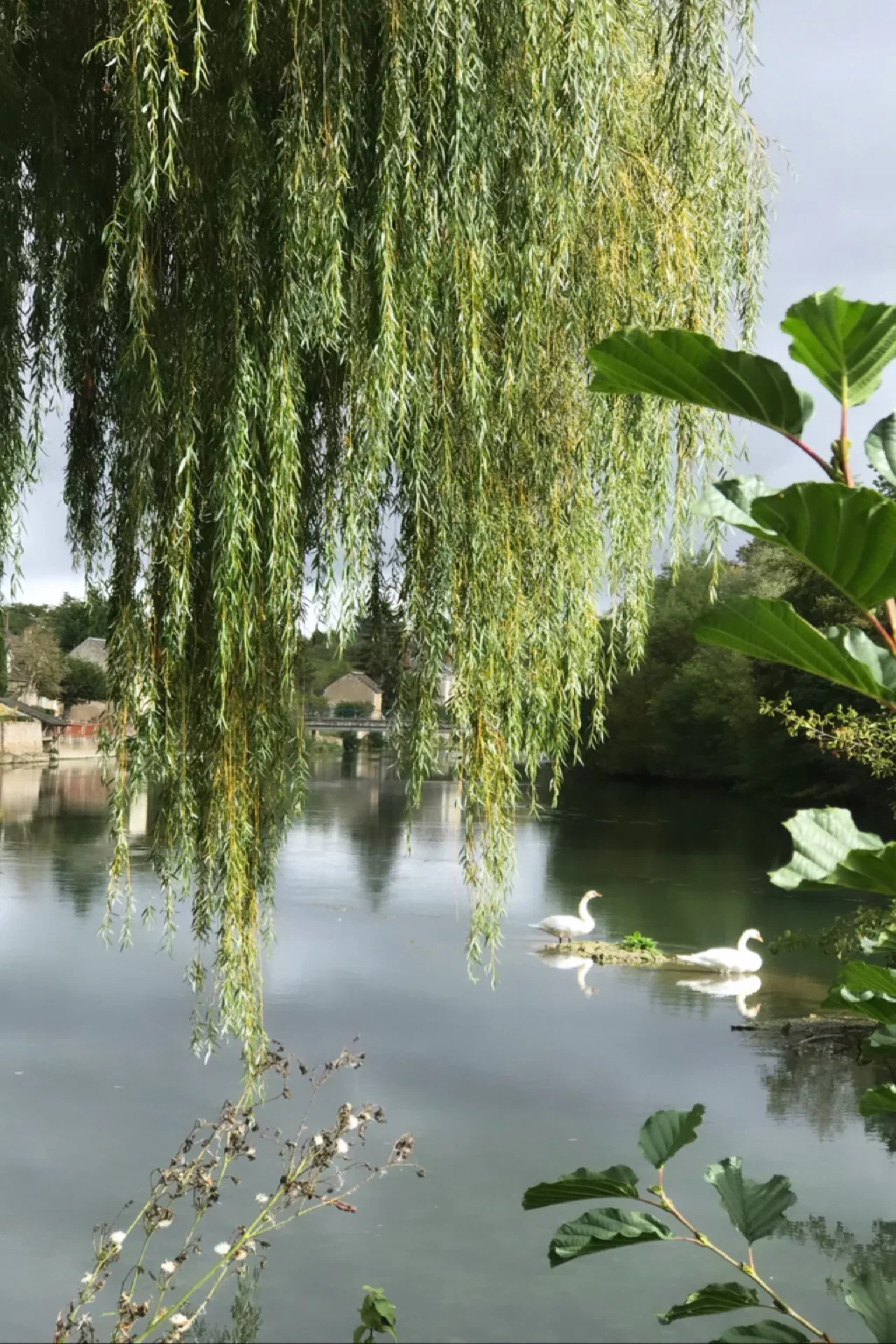 La Chartre-sur-le-Loir - SARTHE