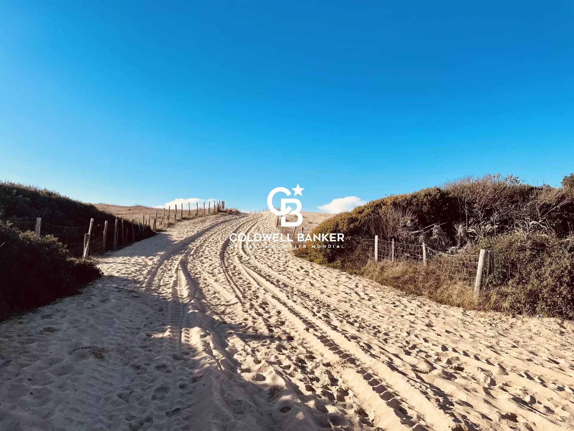 Agence immobilière de Coldwell Banker Surfin Realty