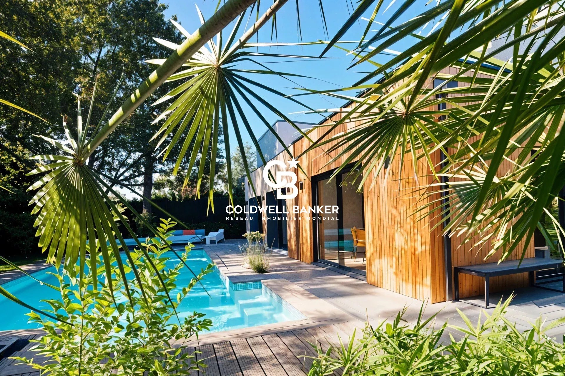 Agence immobilière de Silver Coast Int. Realty