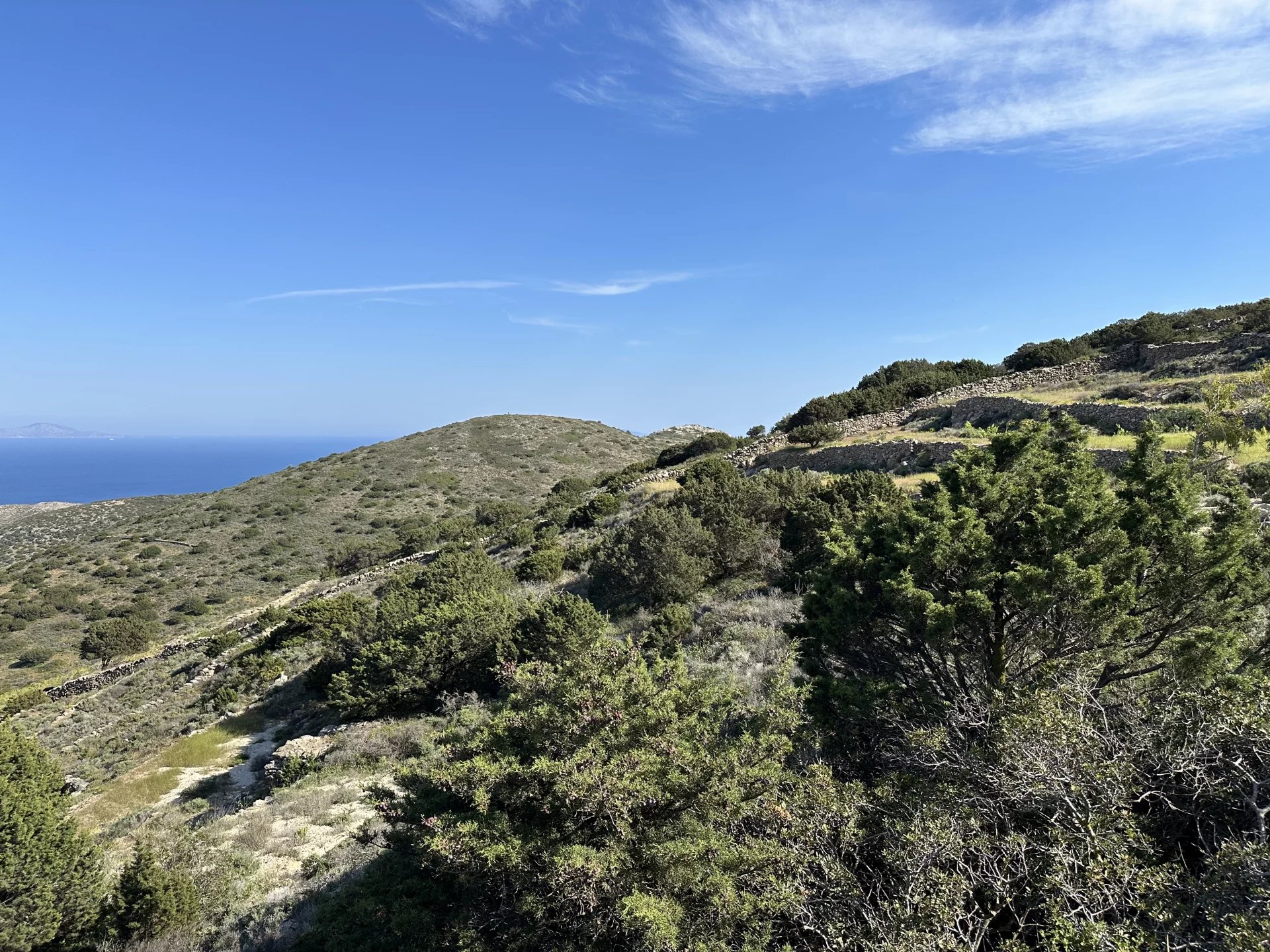 Εικόνα ιδιοκτησίας 6