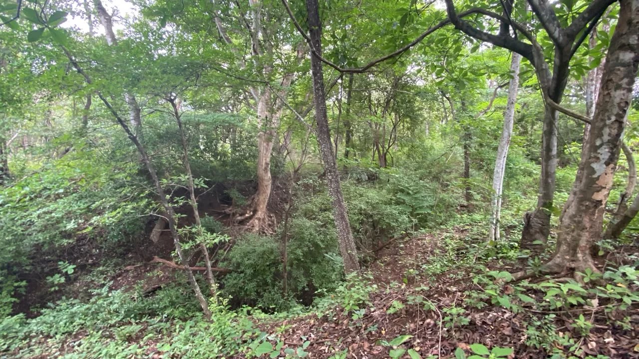 Sale Building land Cartagena