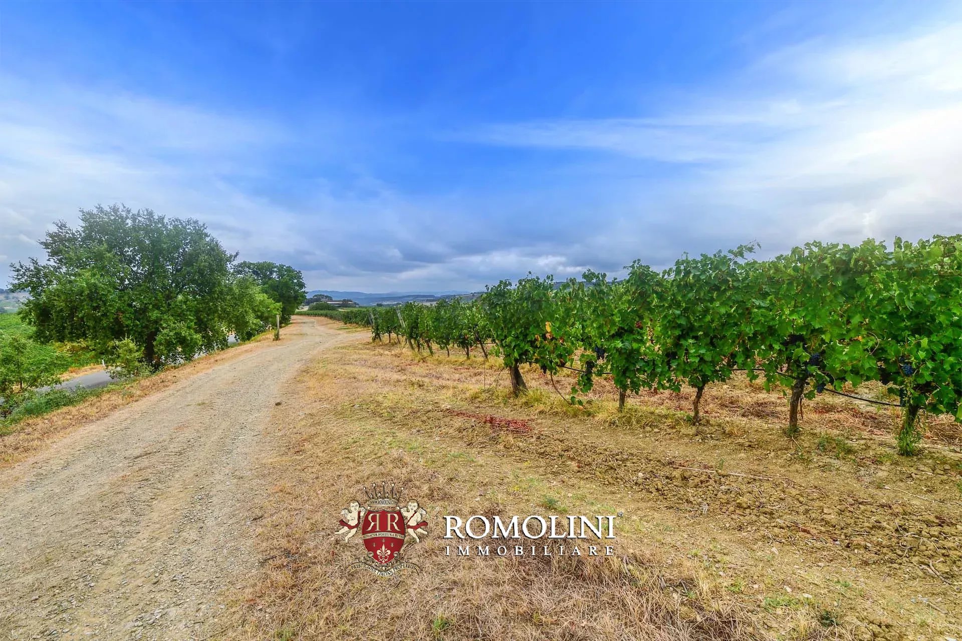 6 Bedroom Vineyard's Image 4