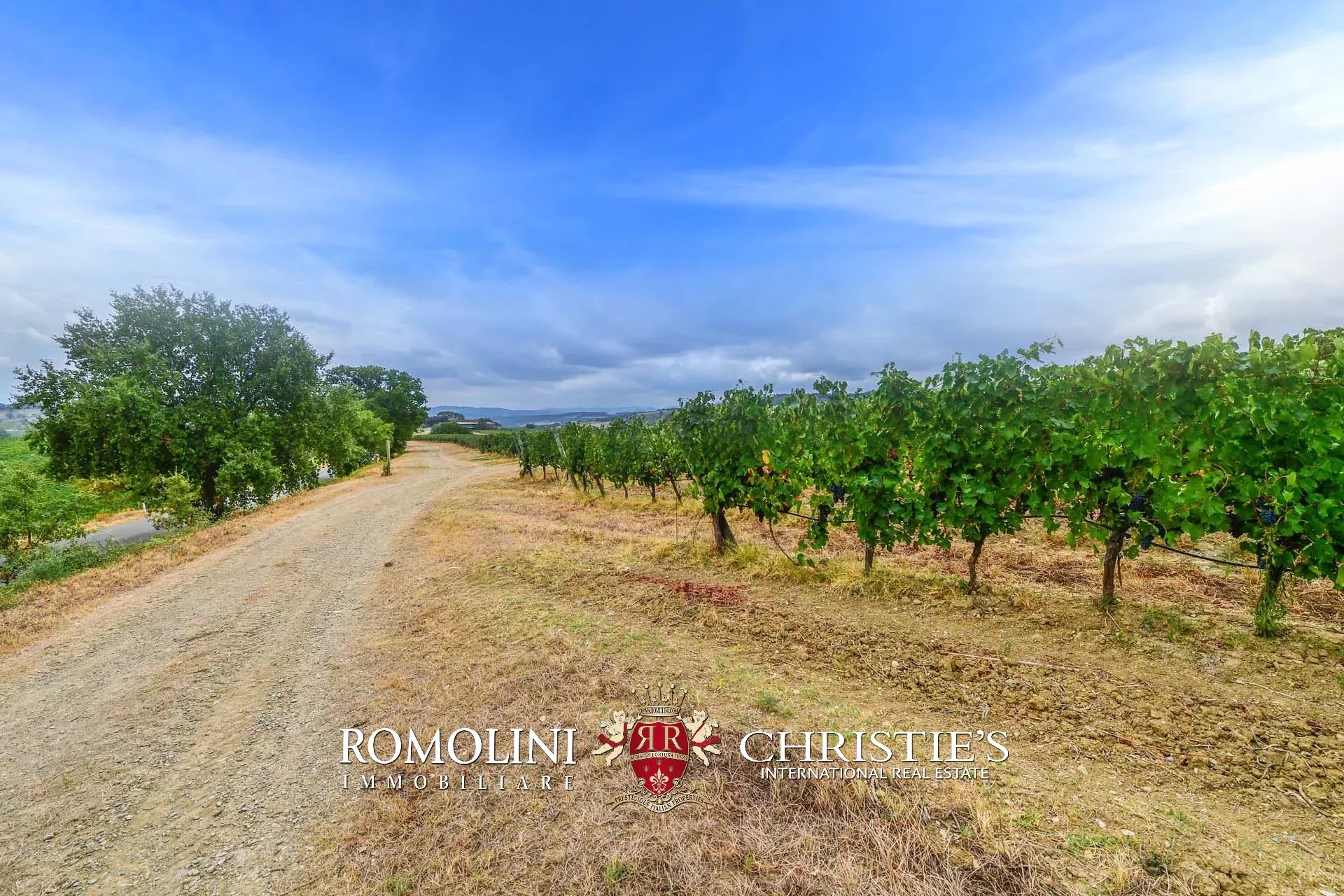 6 Bedroom Vineyard's Image 4