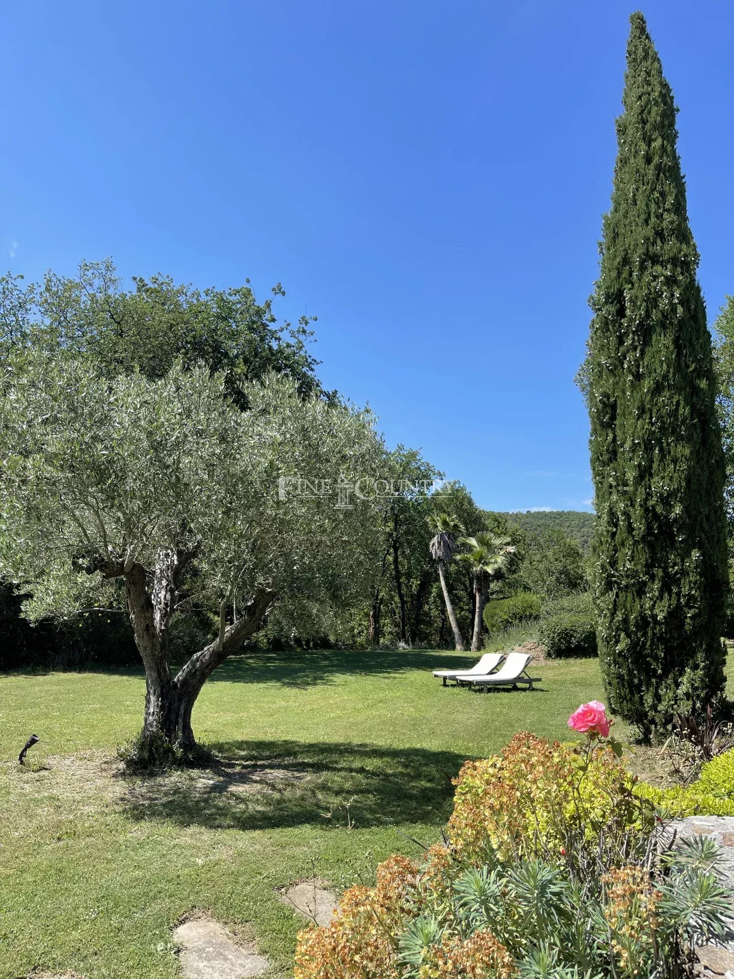 Photo of Property for sale in La Garde Freinet with vineyard