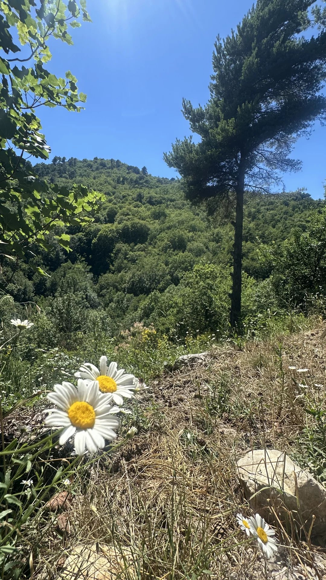 Vente Maison Sospel