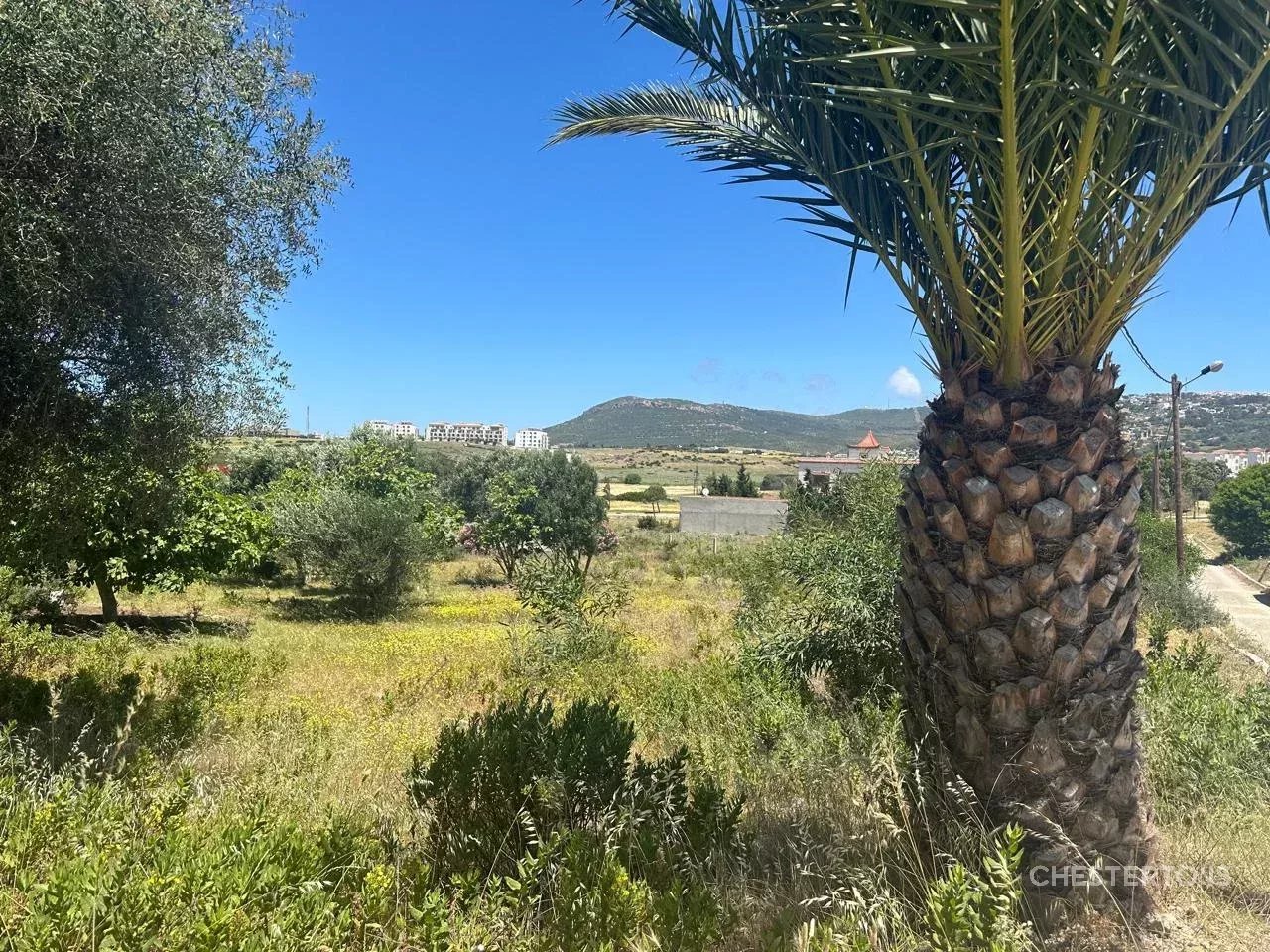 Image of Building land for Sale in Tanger-Asilah-Tanger-Morocco, Image 1