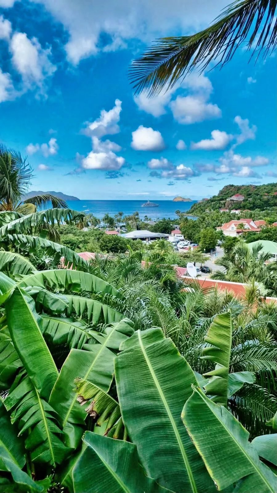 RARE À SAINT-BARTH