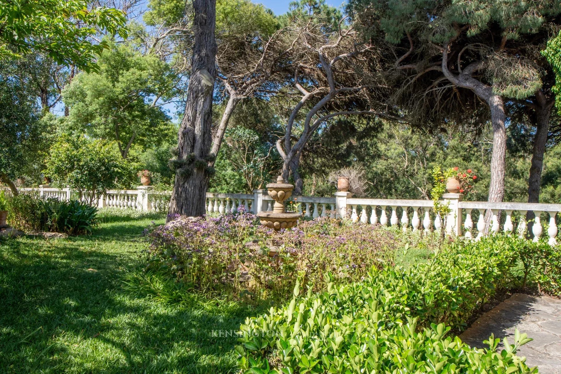 4 Bedroom Villa/Townhouse's Image 22