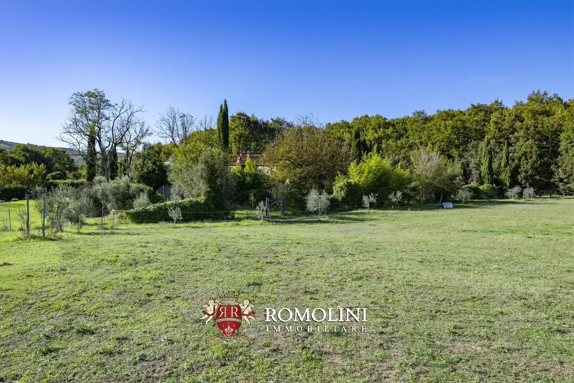 9 Bedroom Horse Property's Image 61