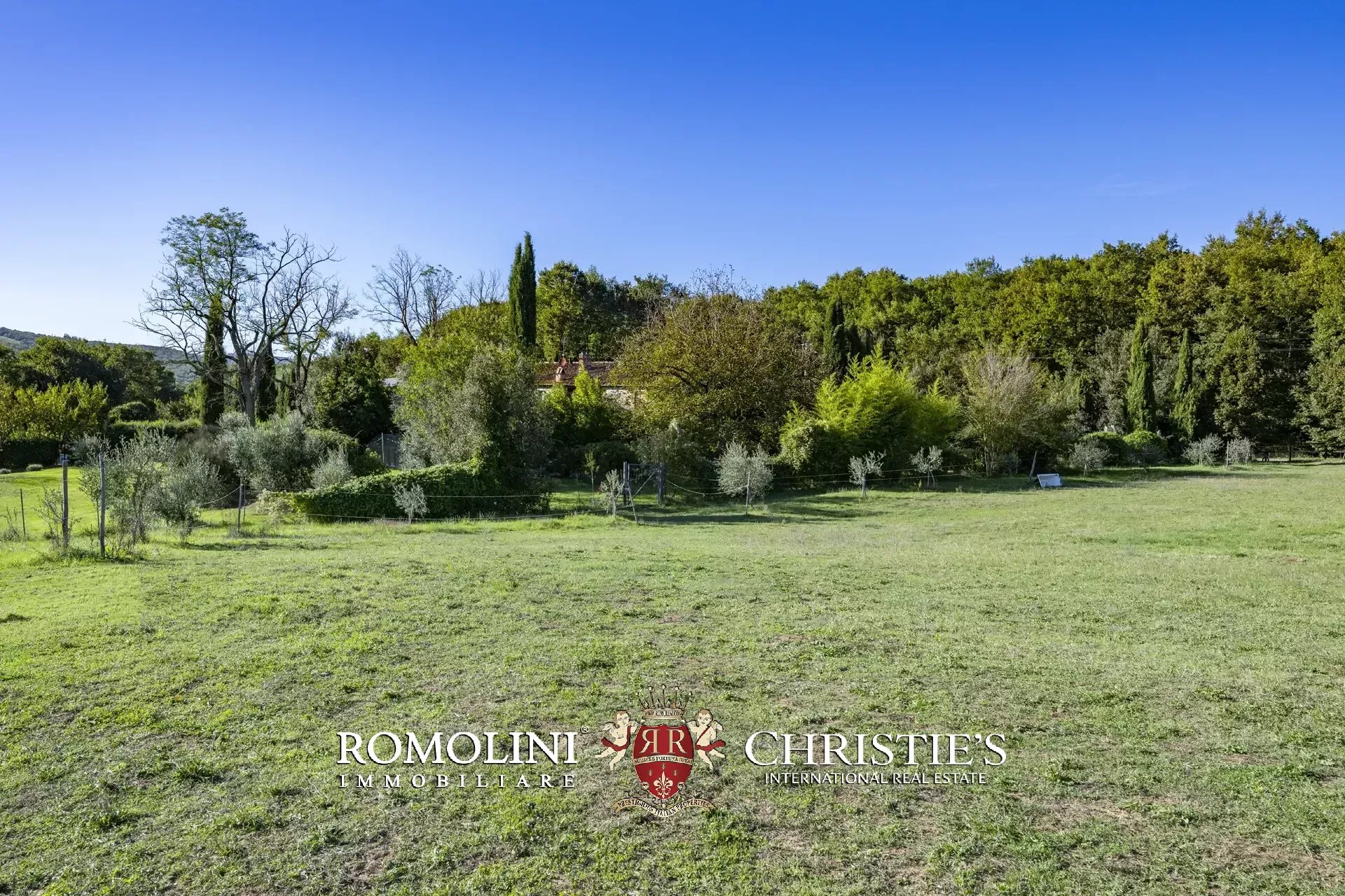 9 Bedroom Horse Property's Image 61