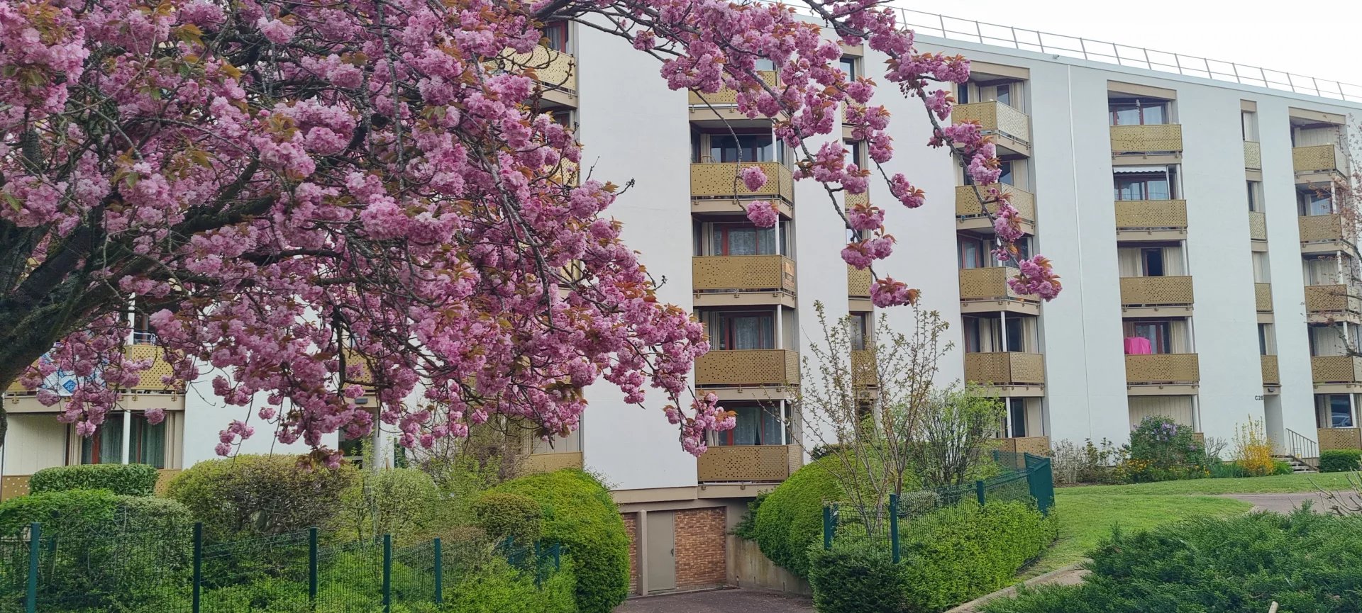 Agence immobilière de Massas Immobilier