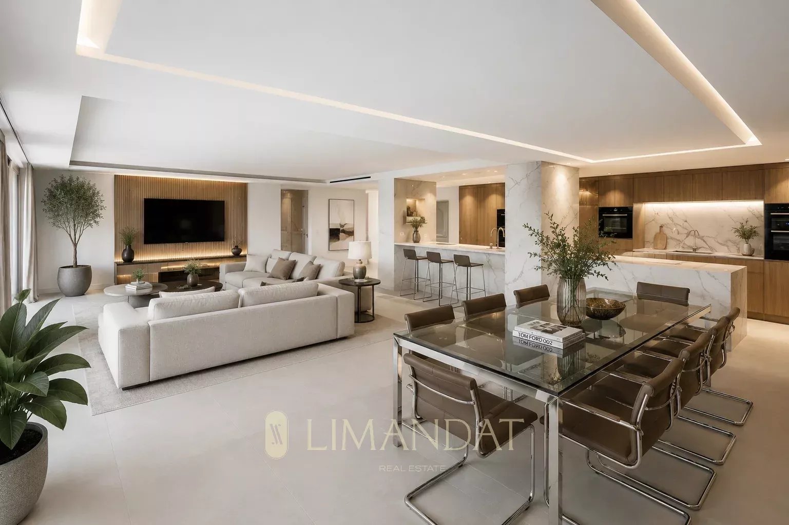 Appartement/villa avec jardin en Duplex Cannes Californie