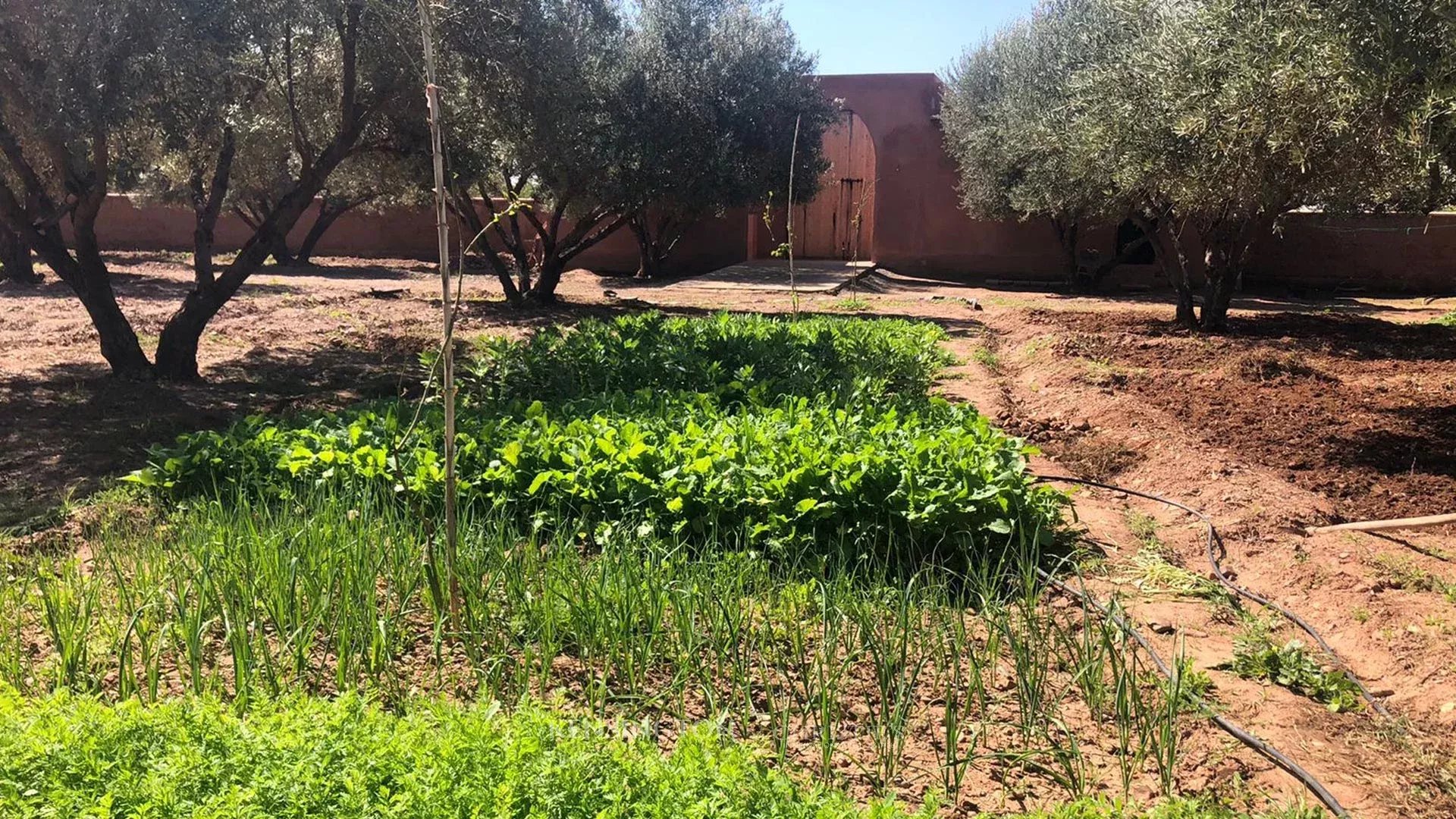Land/Vacant Land's Image 8
