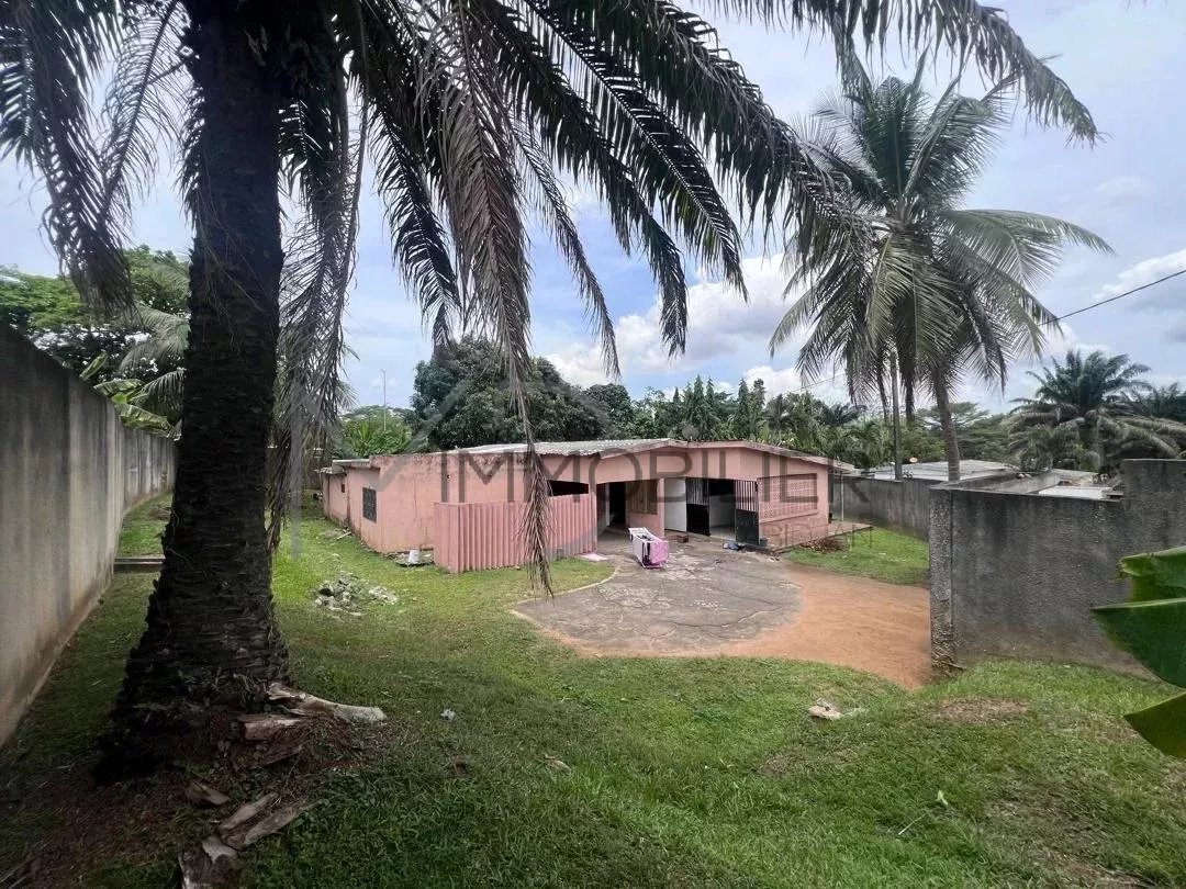 Sale Building land Abidjan