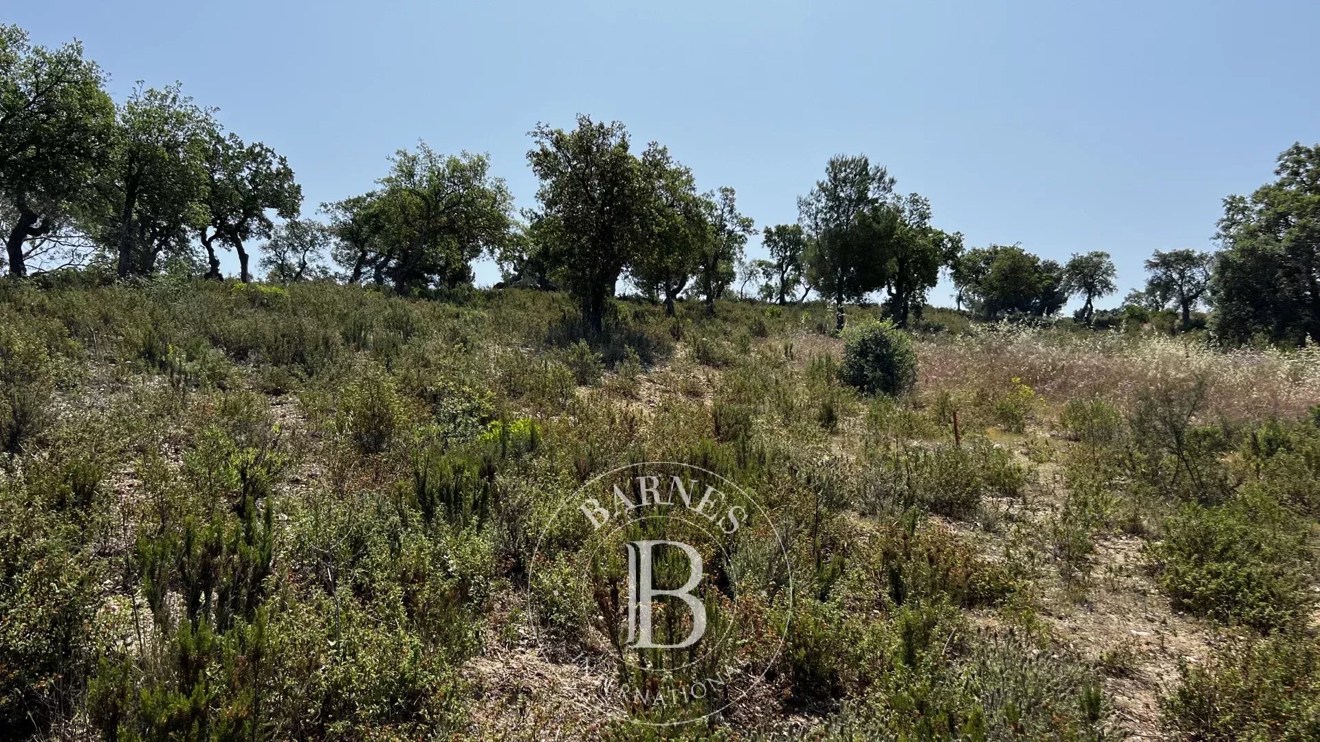 Arazi Bormes-les-Mimosas