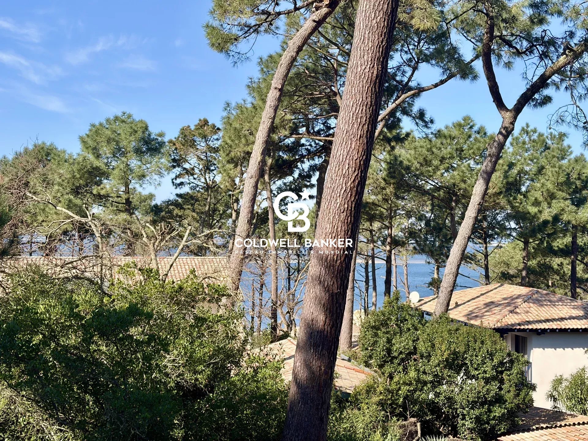 Agence immobilière de Silver Coast Int. Realty