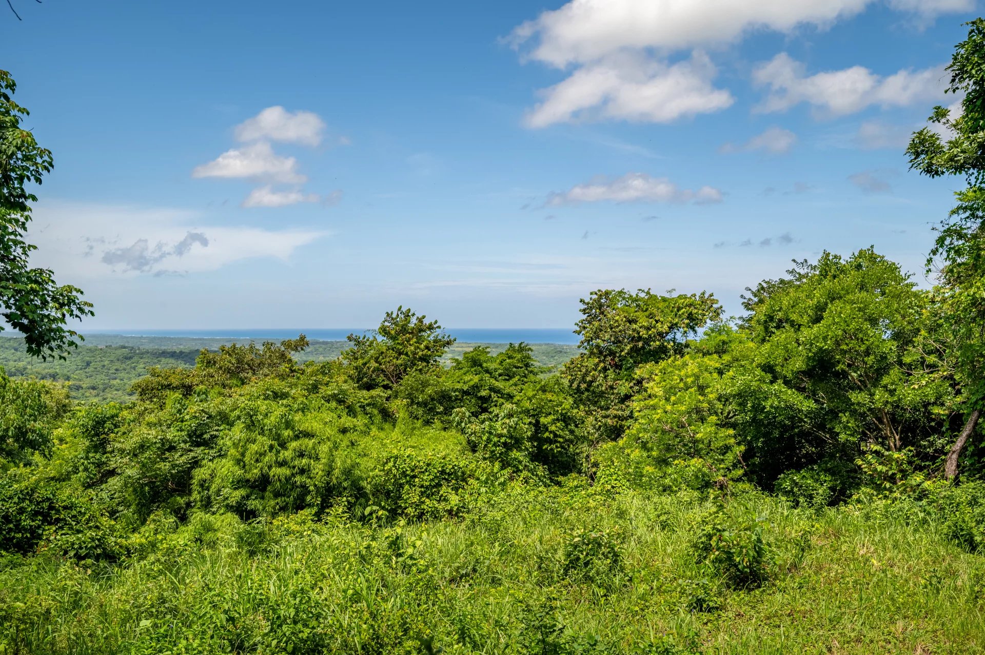 Venta Terreno Santa Cruz