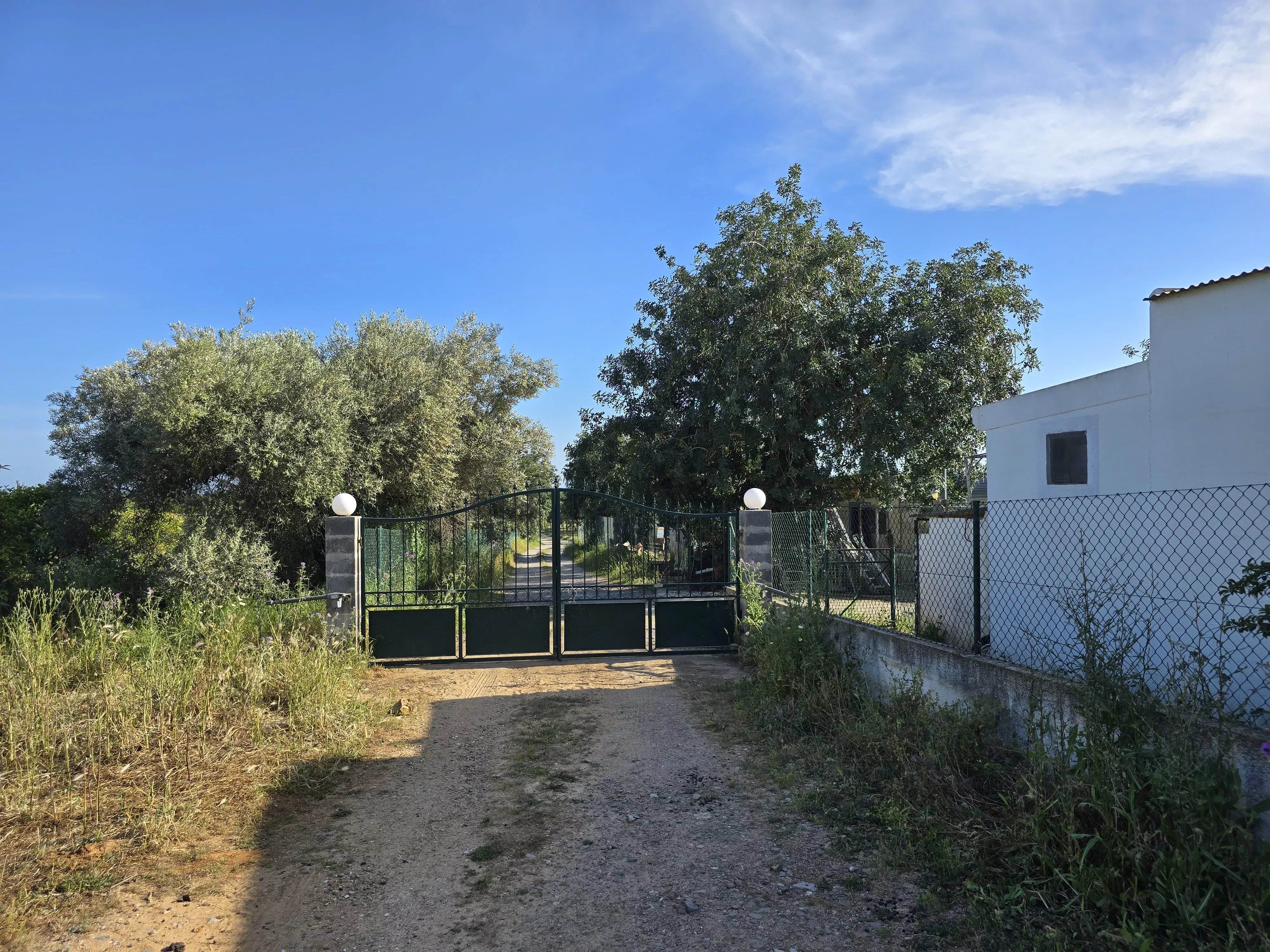 6 room Farmhouse with 1.5 hectares of land and sea view 86949039 image 21