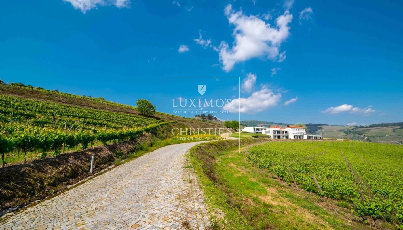 5-star vineyard, in the douro valley, north of portugal image39