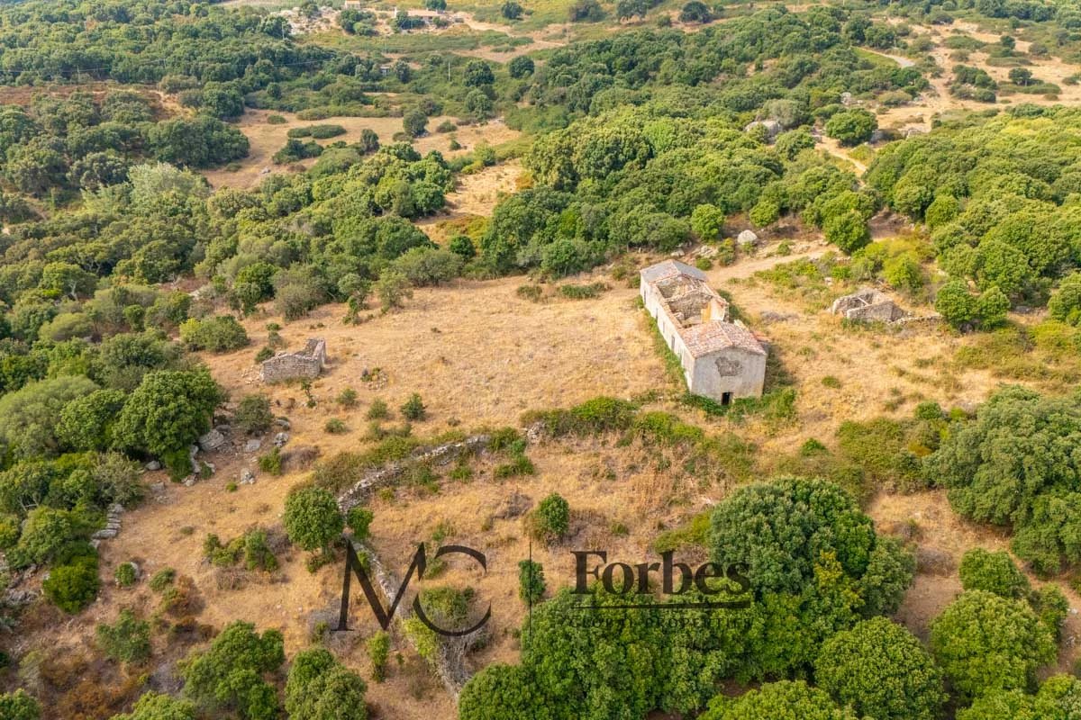 Land in Luras - Image 4