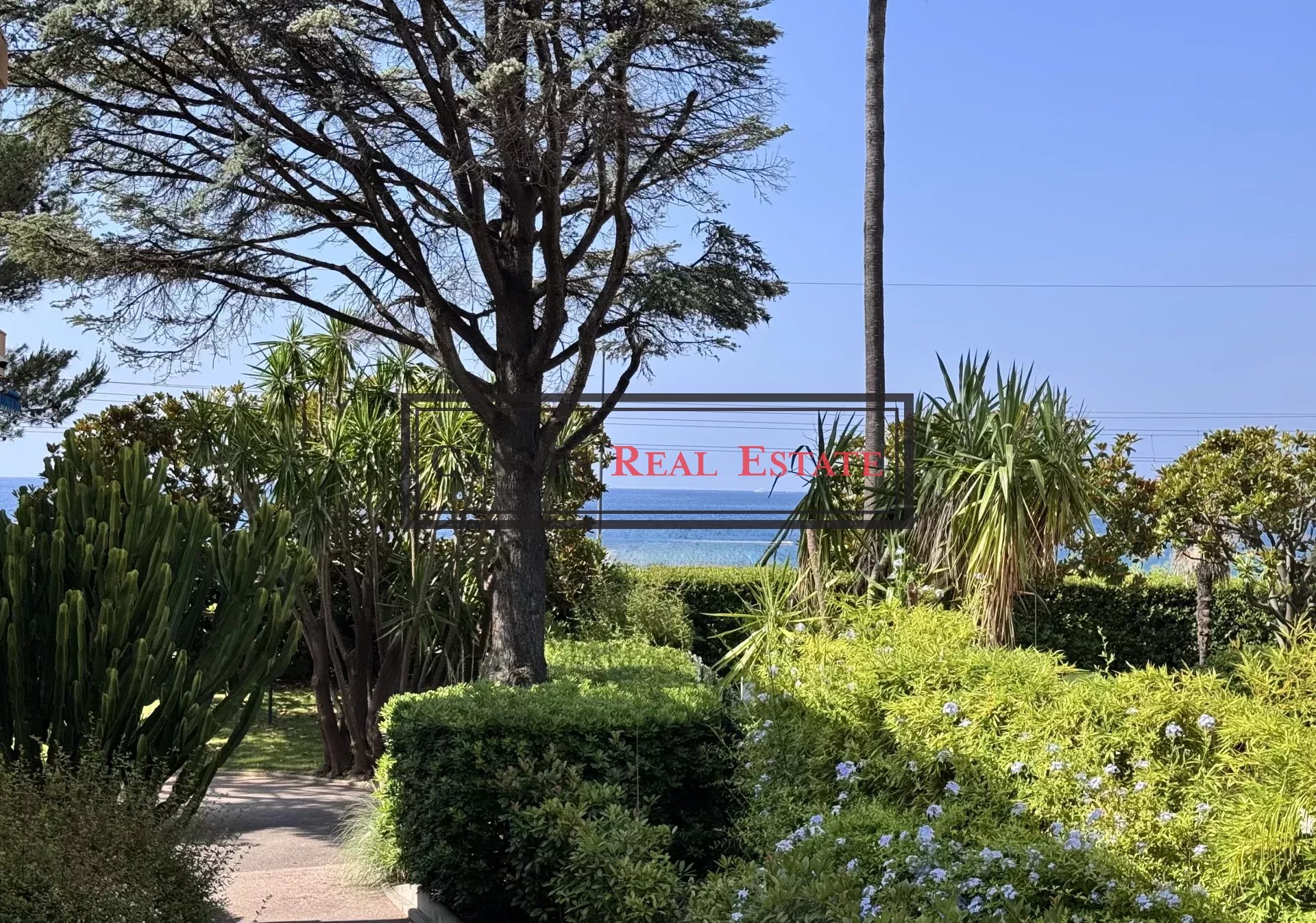 Agence immobilière de Cannes Real Estate