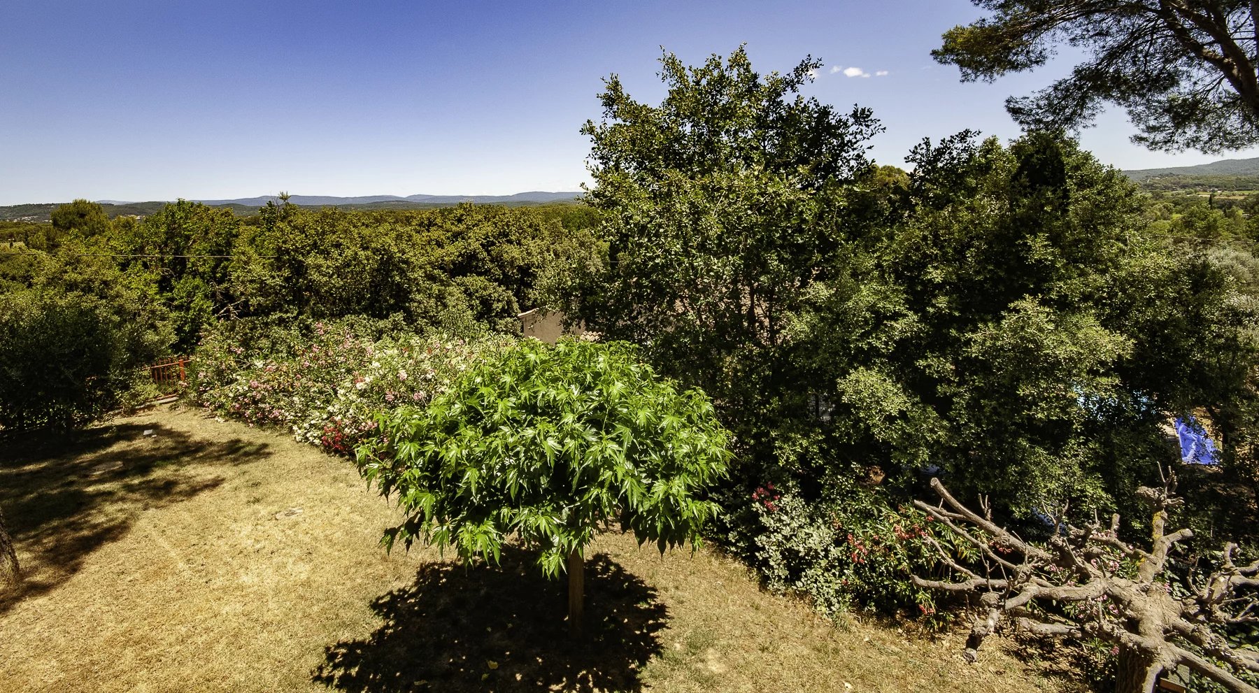 Charming villa with a pool in Montfort-sur-Argens