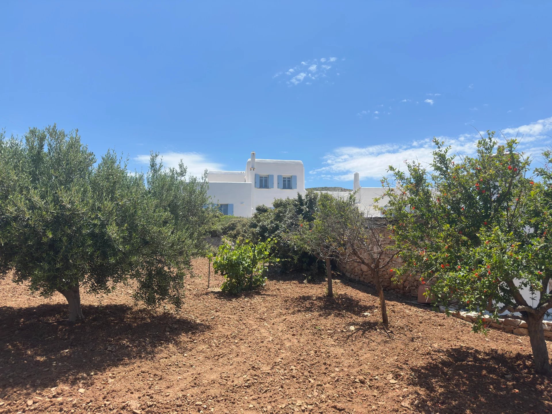 FOR SALE – ELEGANT VILLA WITH OLIVE GROVE & SEA VIEW – PAROS ISLAND