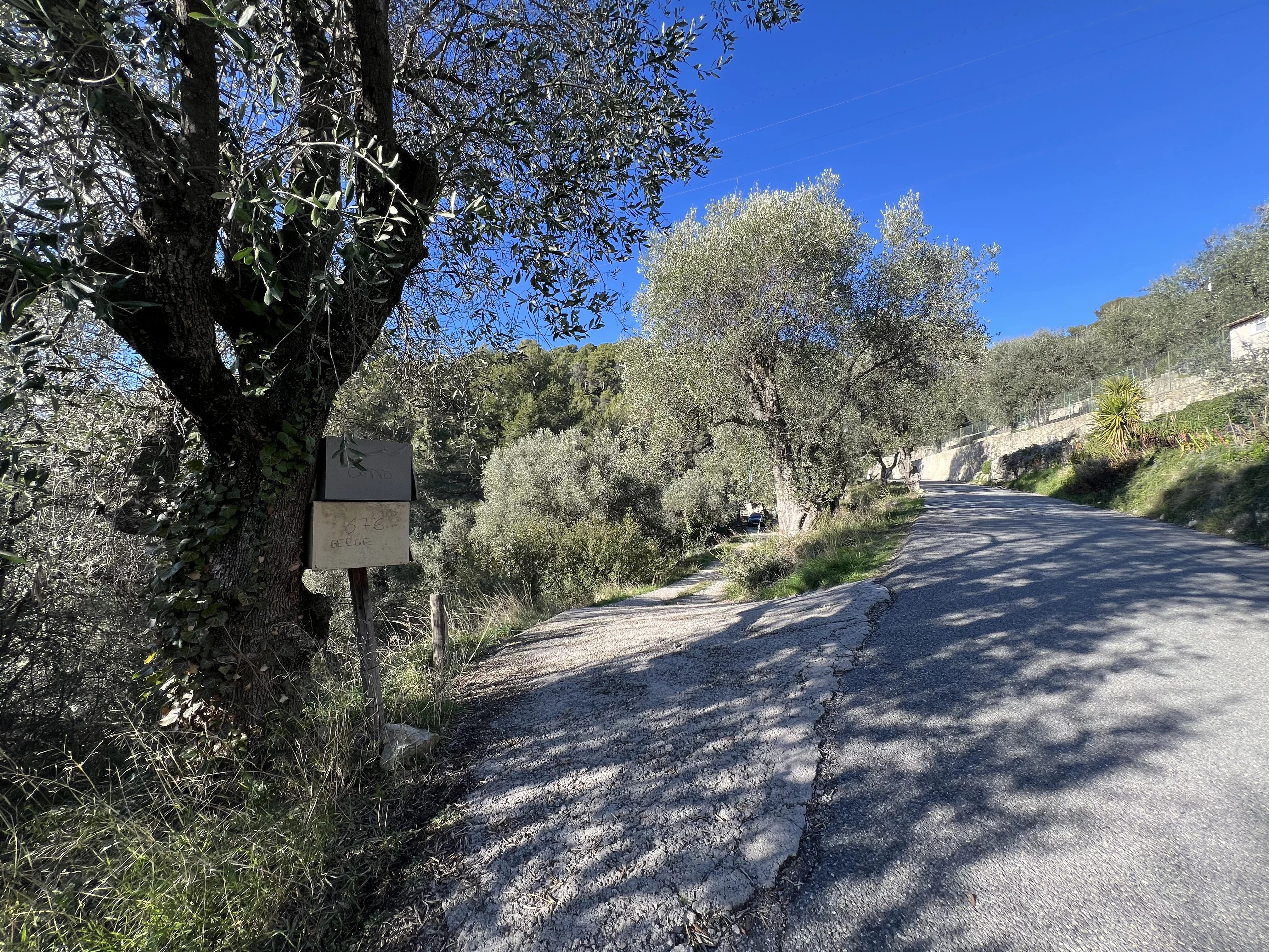 NICE - L'ABADIE - TERRAIN CONSTRUCTIBLE - 1518 m²