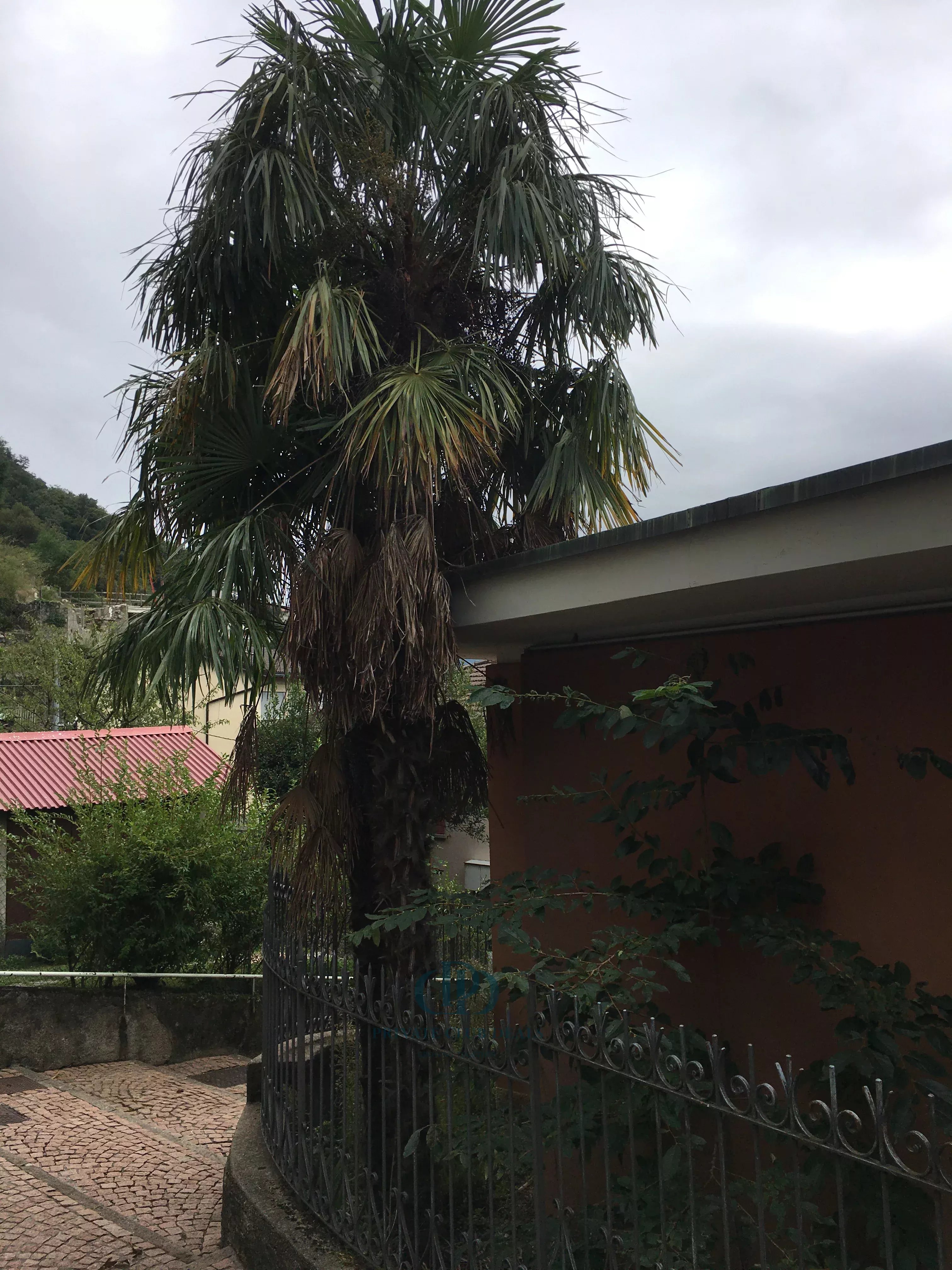 Daire Campione d'Italia - picture 21