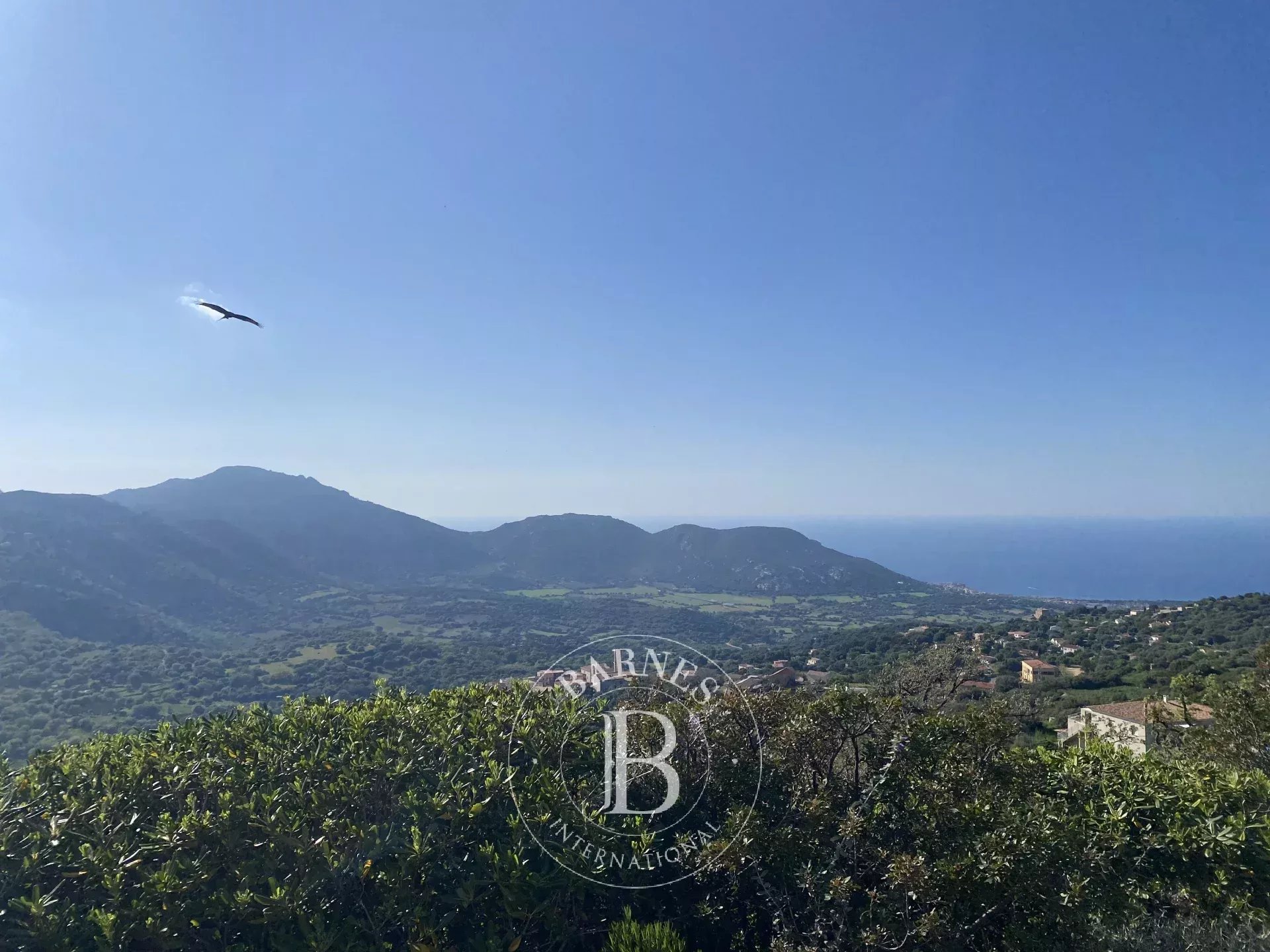 Villa L'Île-Rousse - picture 21