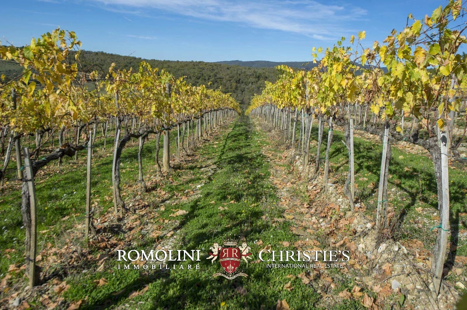 LUXURY HISTORICAL VILLA FOR SALE IN RADDA IN CHIANTI, TUSCANY