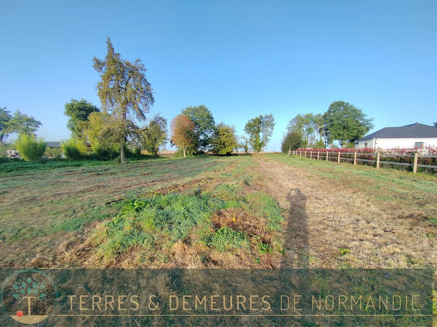Vente Terrain Beuzeville