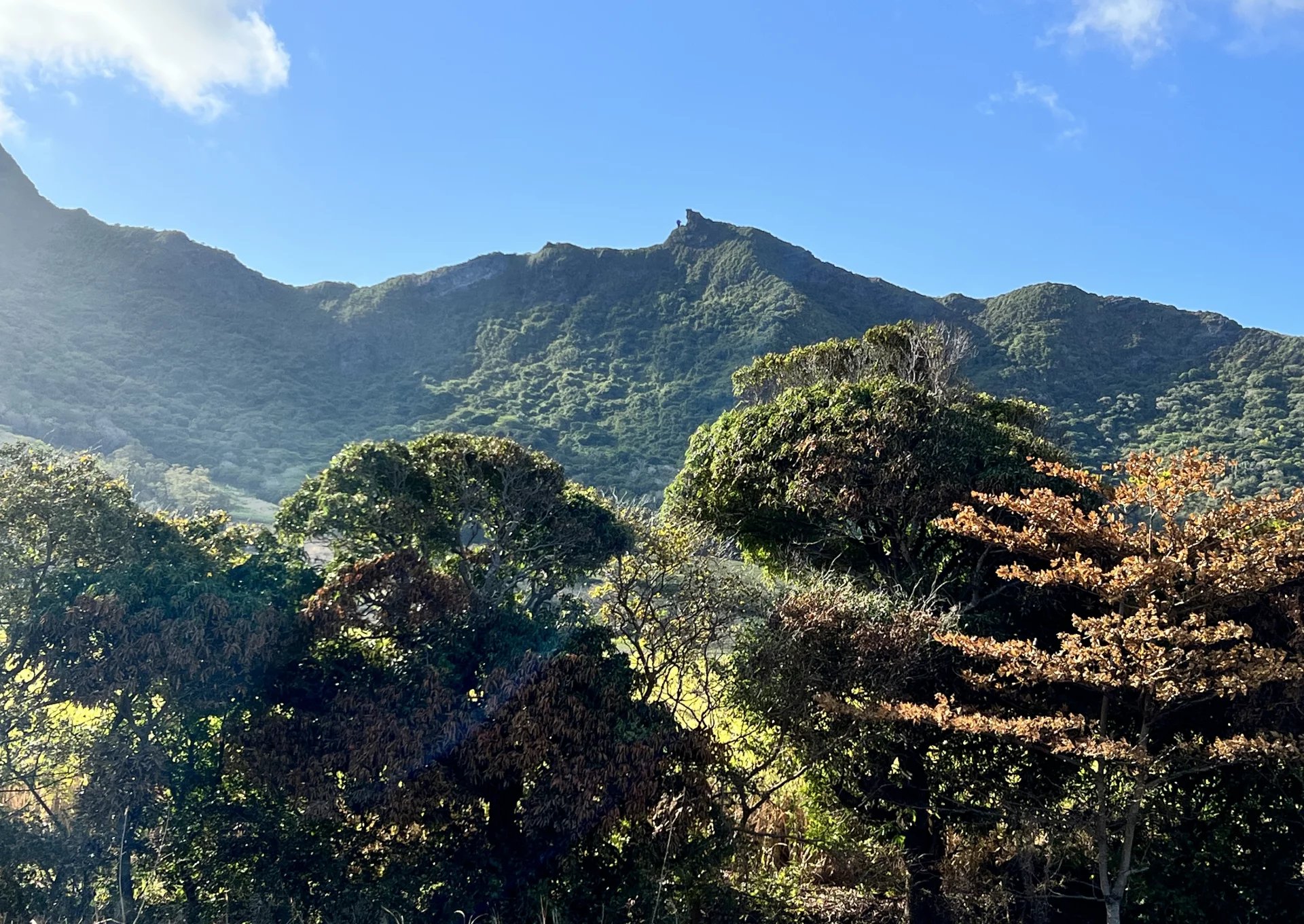 GRAND SABLE - Mountain and sea view - 40 acres land