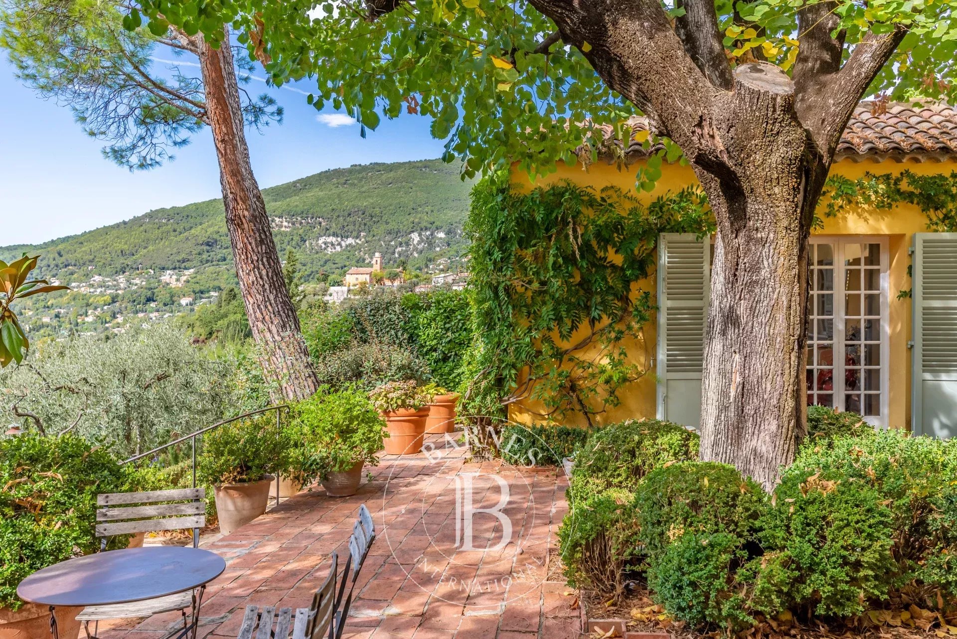 Ev Grasse - picture 13