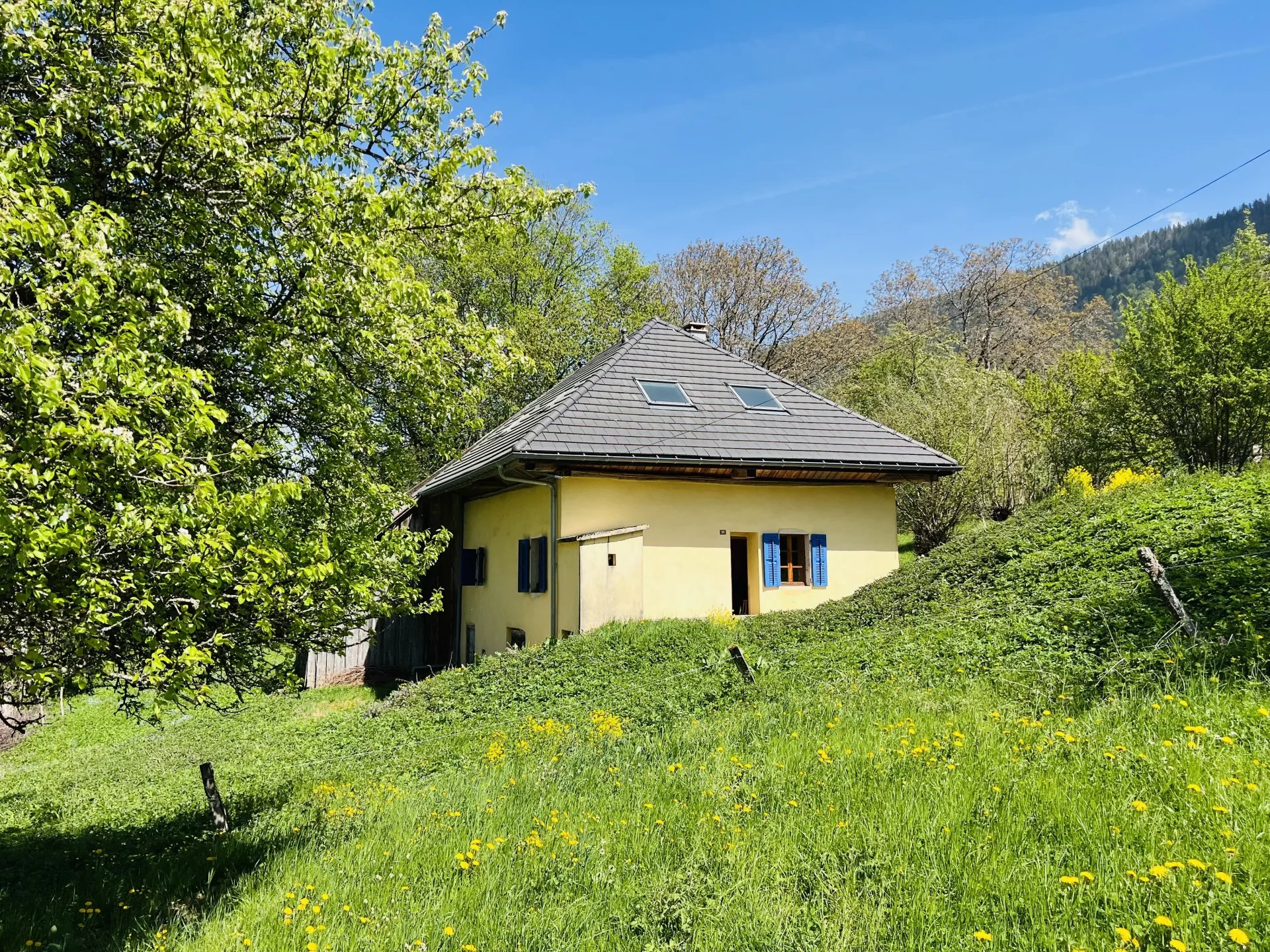 Vente Maison Le Noyer