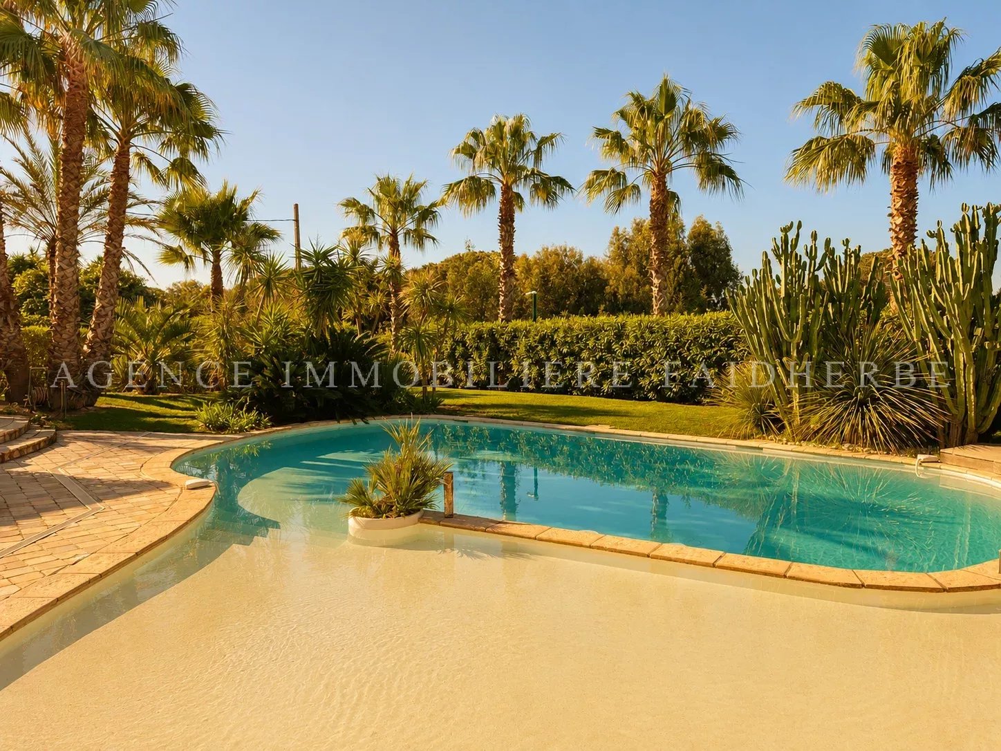 Piscine privée entourée de palmiers dans un jardin tropical.
