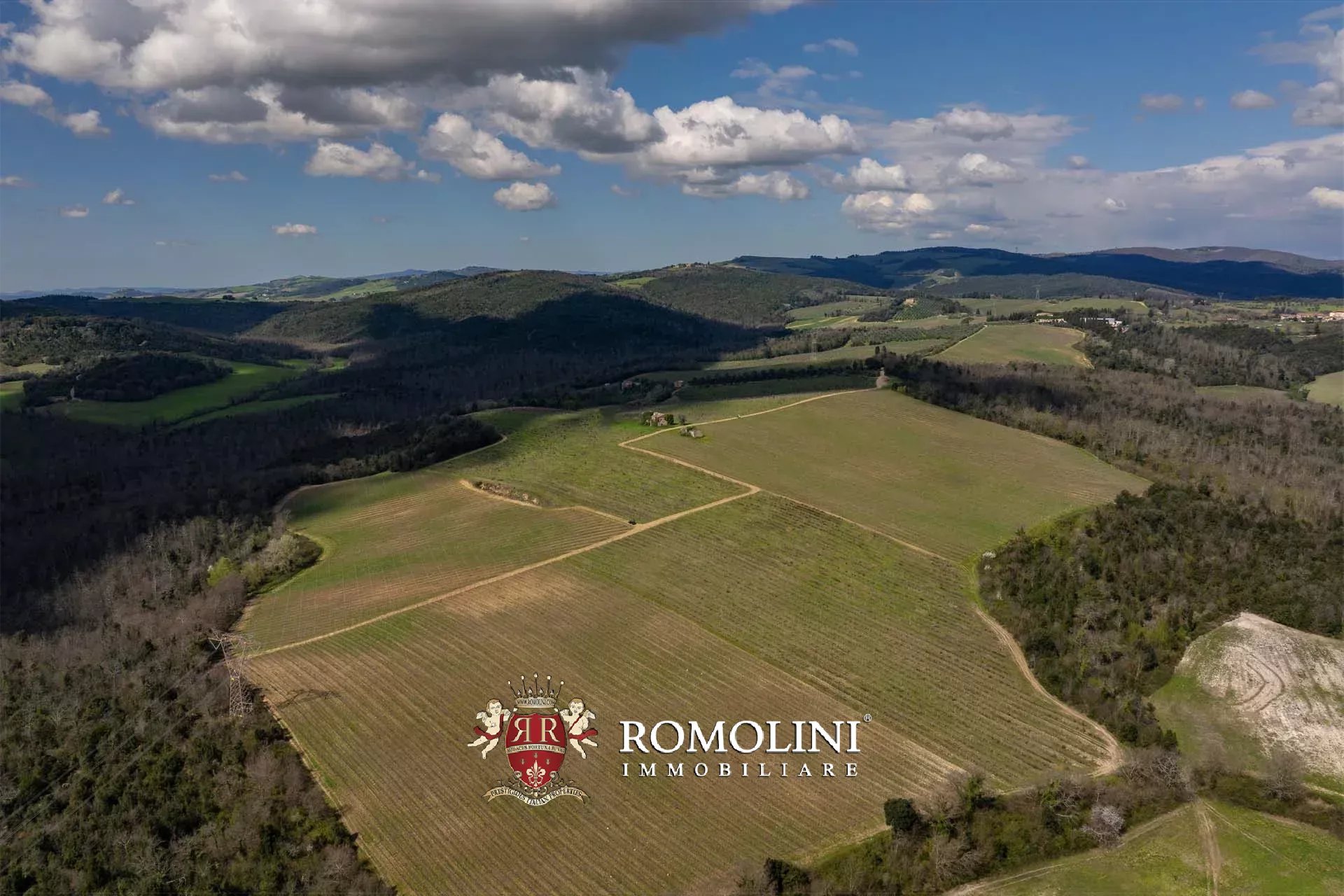 35 Bedroom Vineyard's Image 15