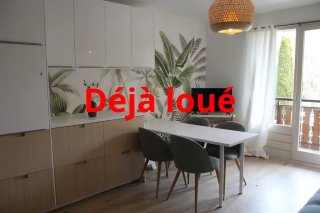 Vignette 1