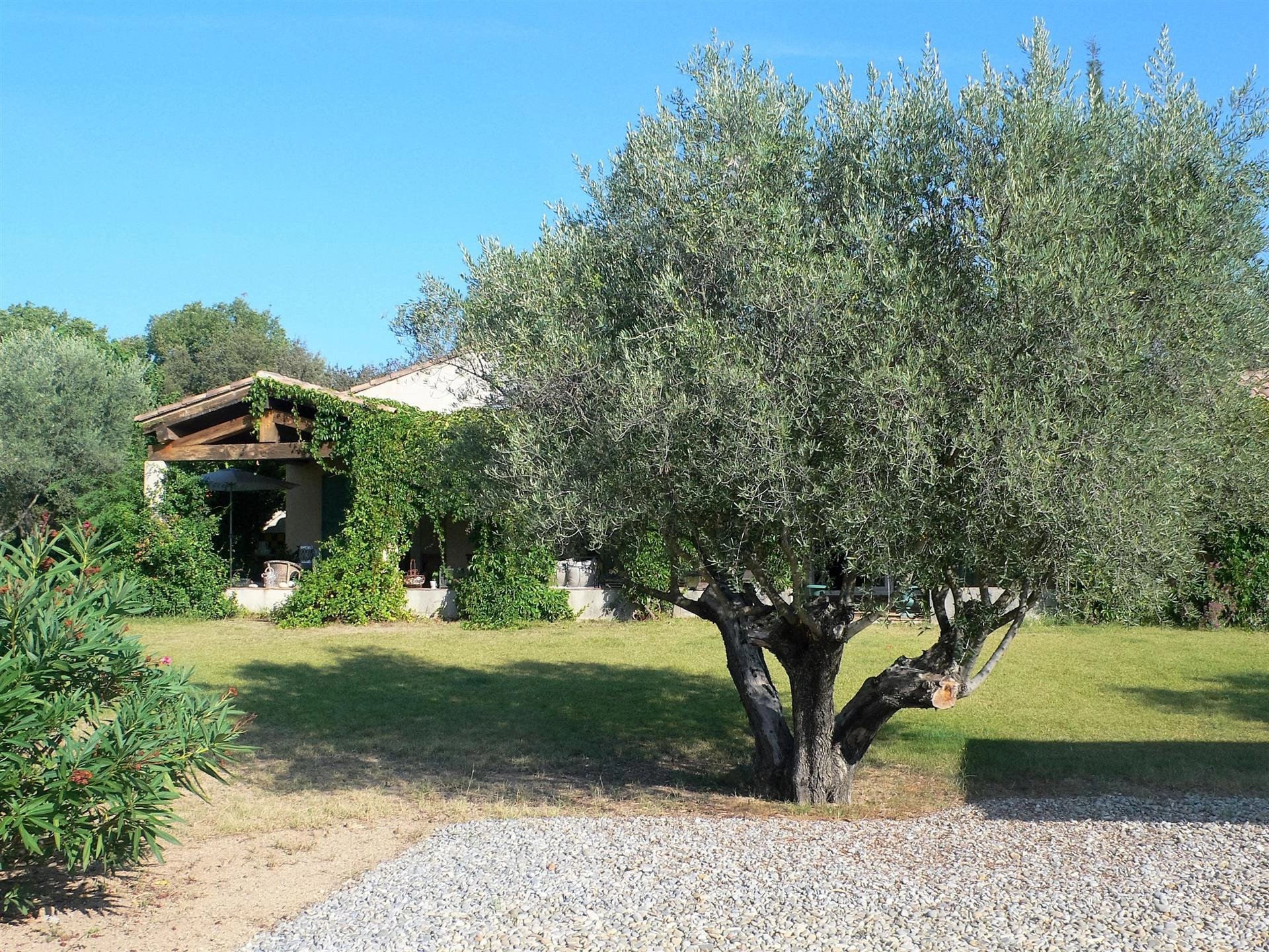 COTIGNAC CHARMING TRADITIONAL VILLA ON ONE STOREY