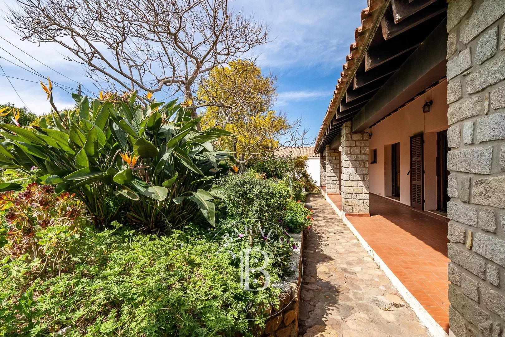 Villa Calvi - picture 11