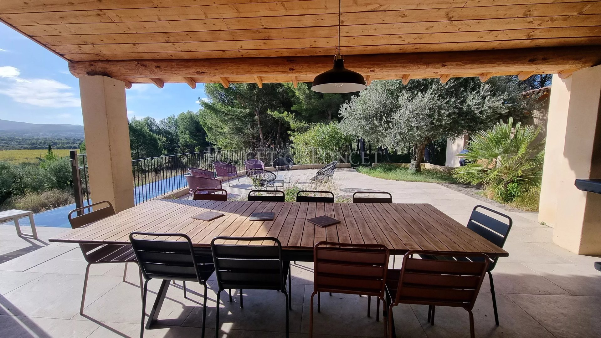 Vineyard's Image 22