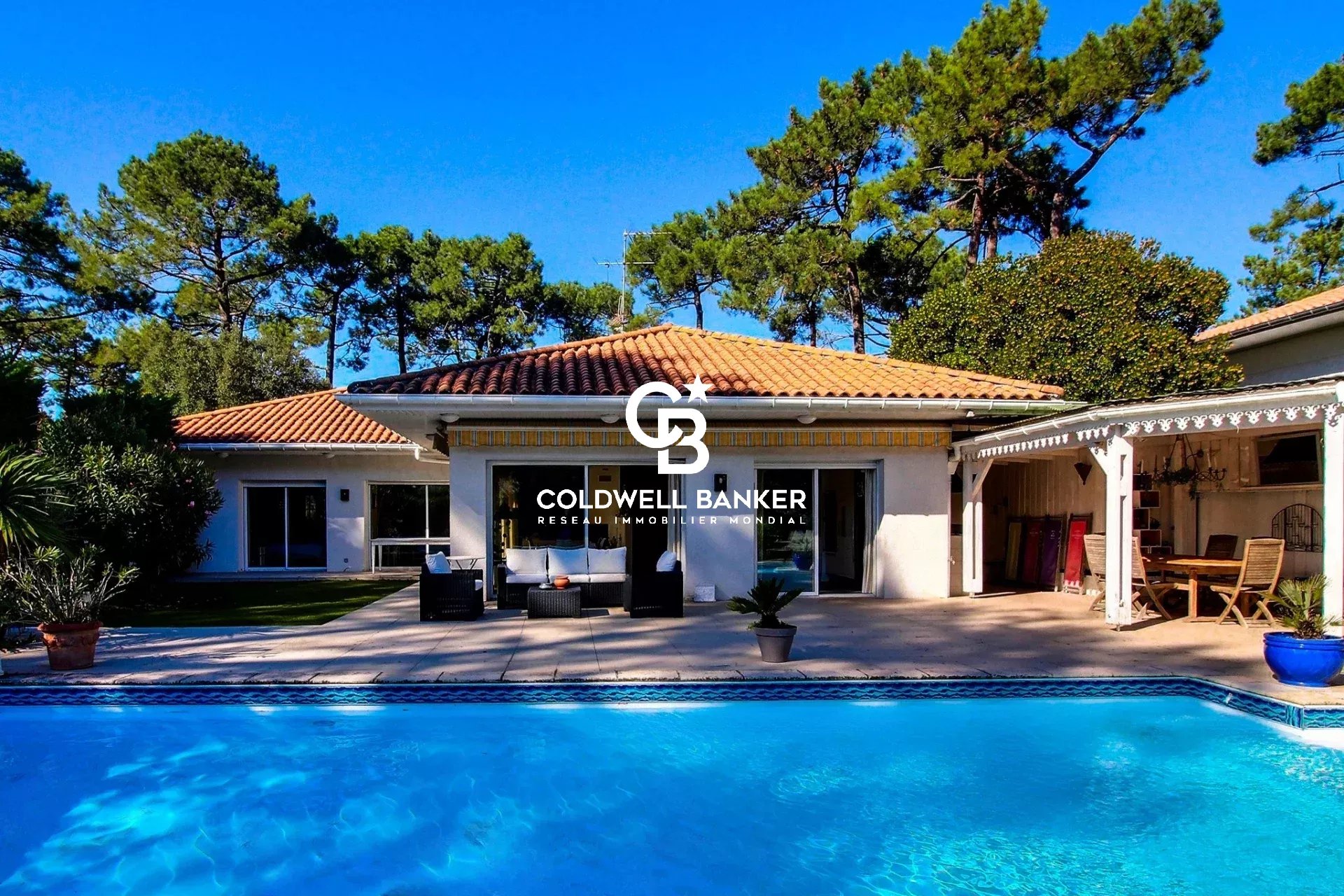 Agence immobilière de Silver Coast Int. Realty