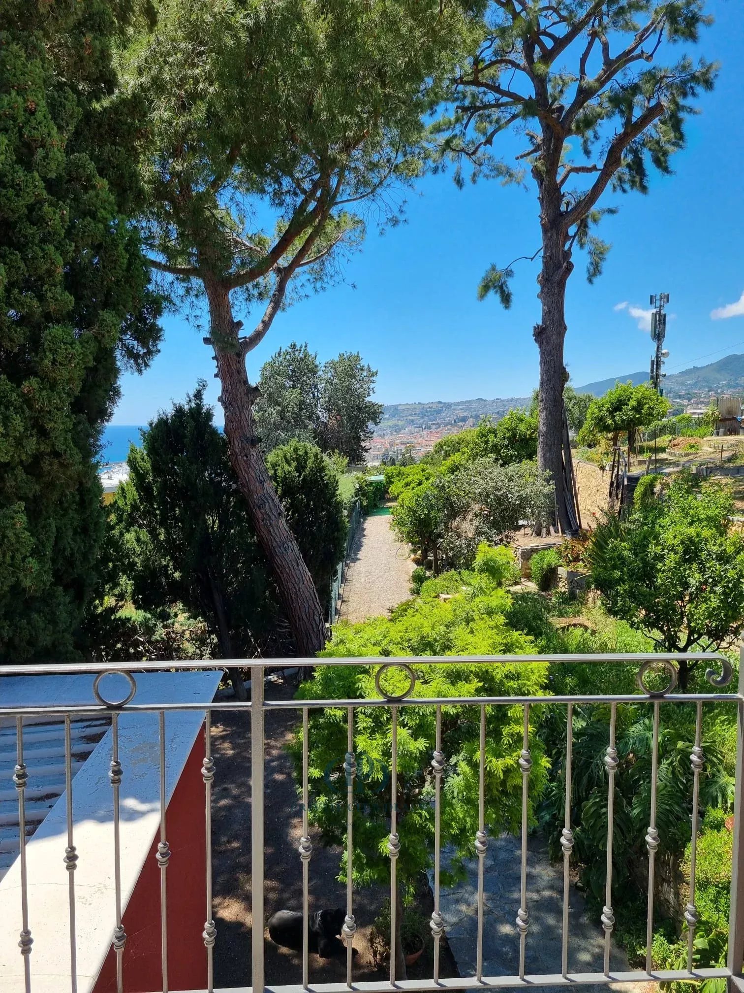 Villa Sanremo - picture 16