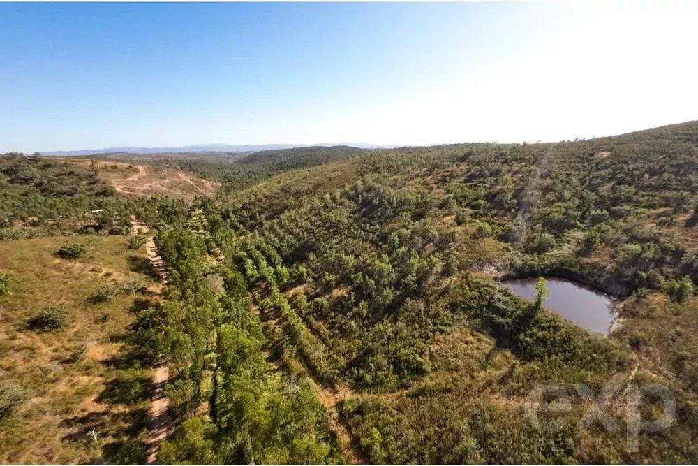 Exceptional 65-Hectare Estate in Alentejo with Tourism Development Potential 85506160 image 16