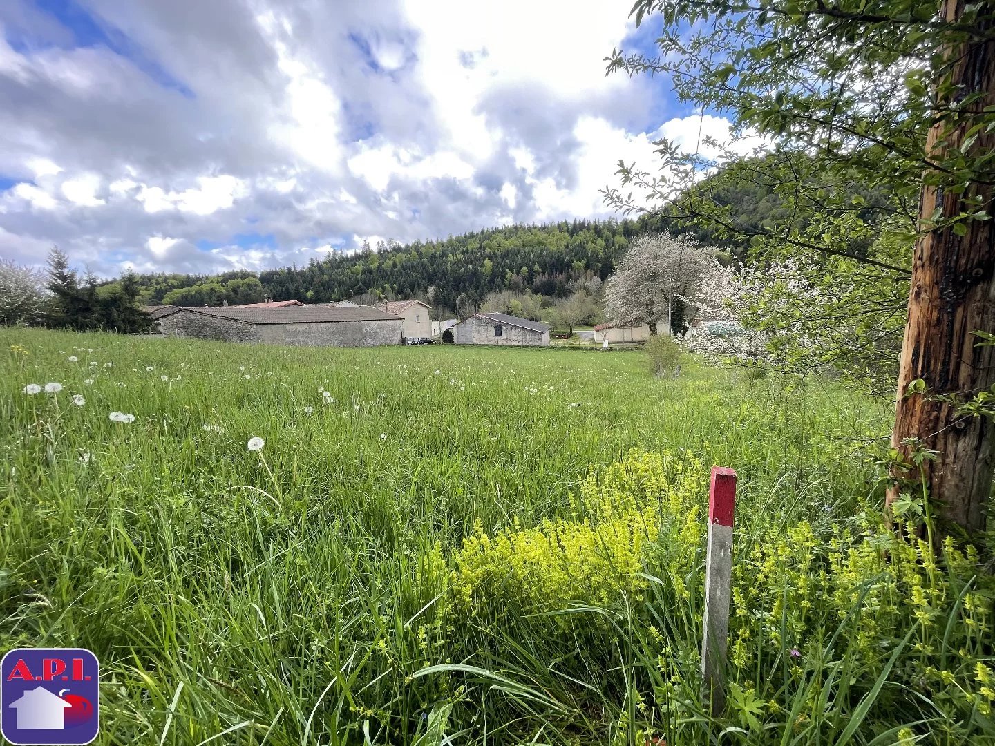 Vente Terrain Roquefeuil