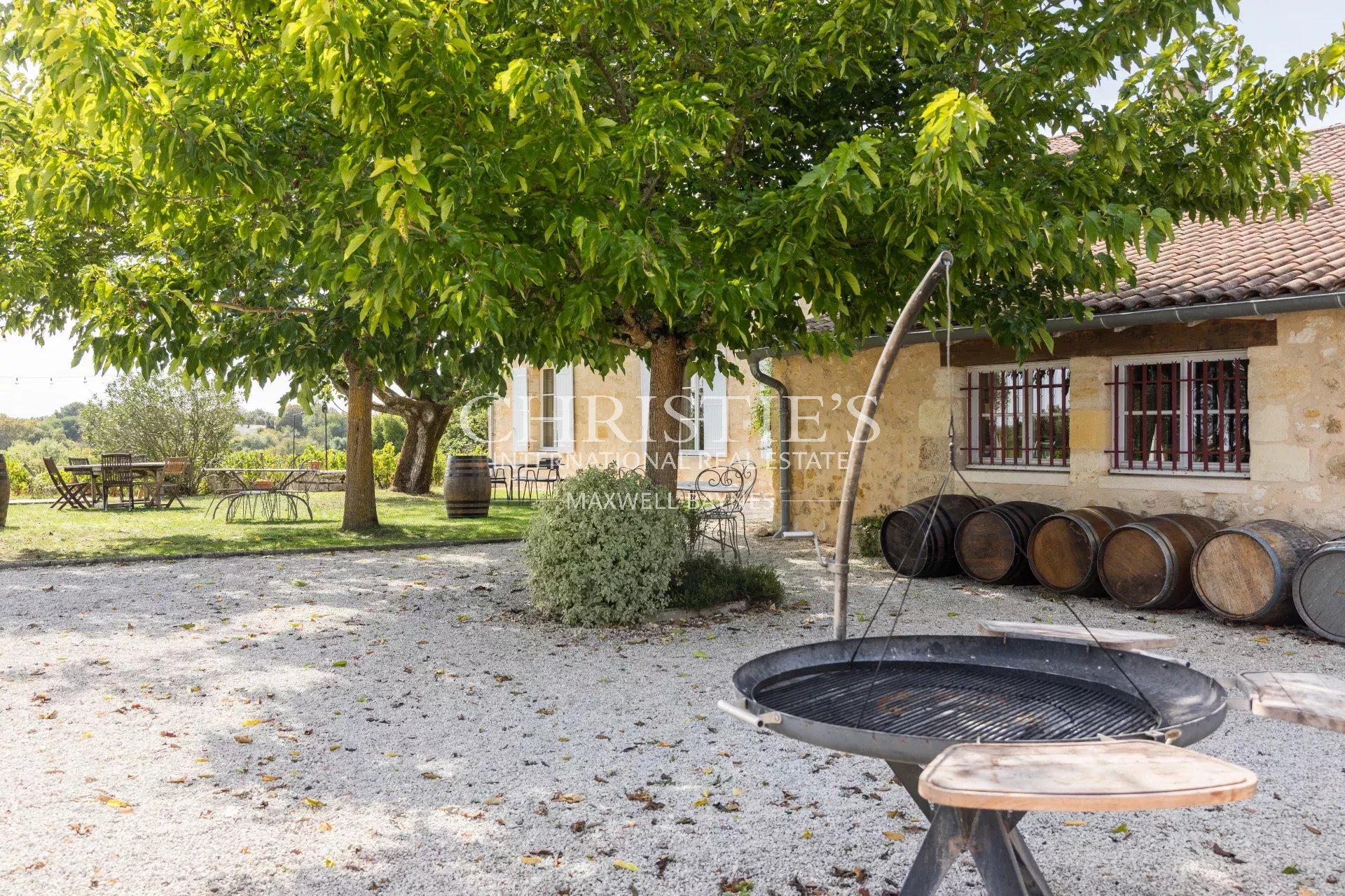 Vineyard's Image 4
