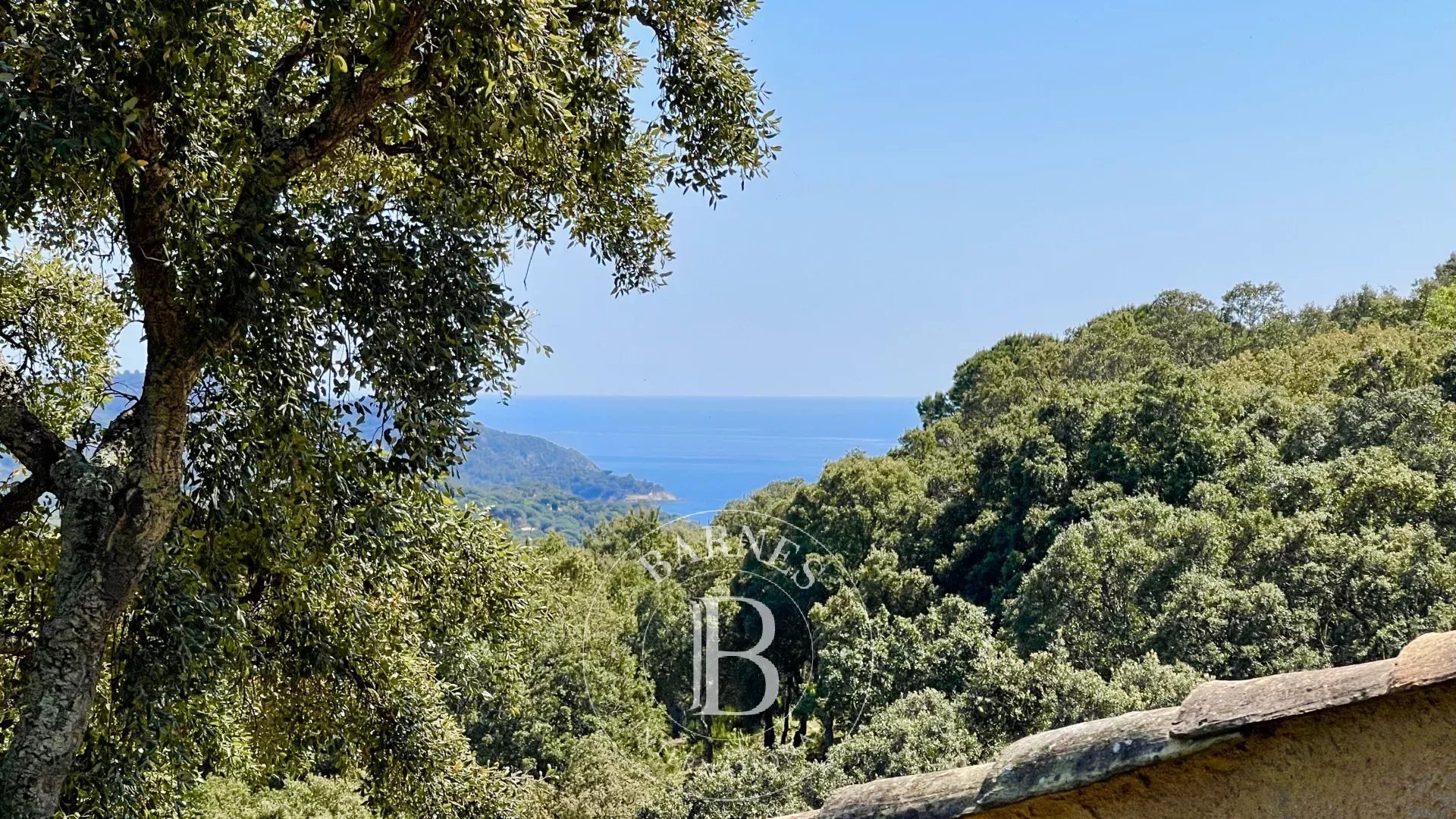 Villa La Croix-Valmer - picture 11