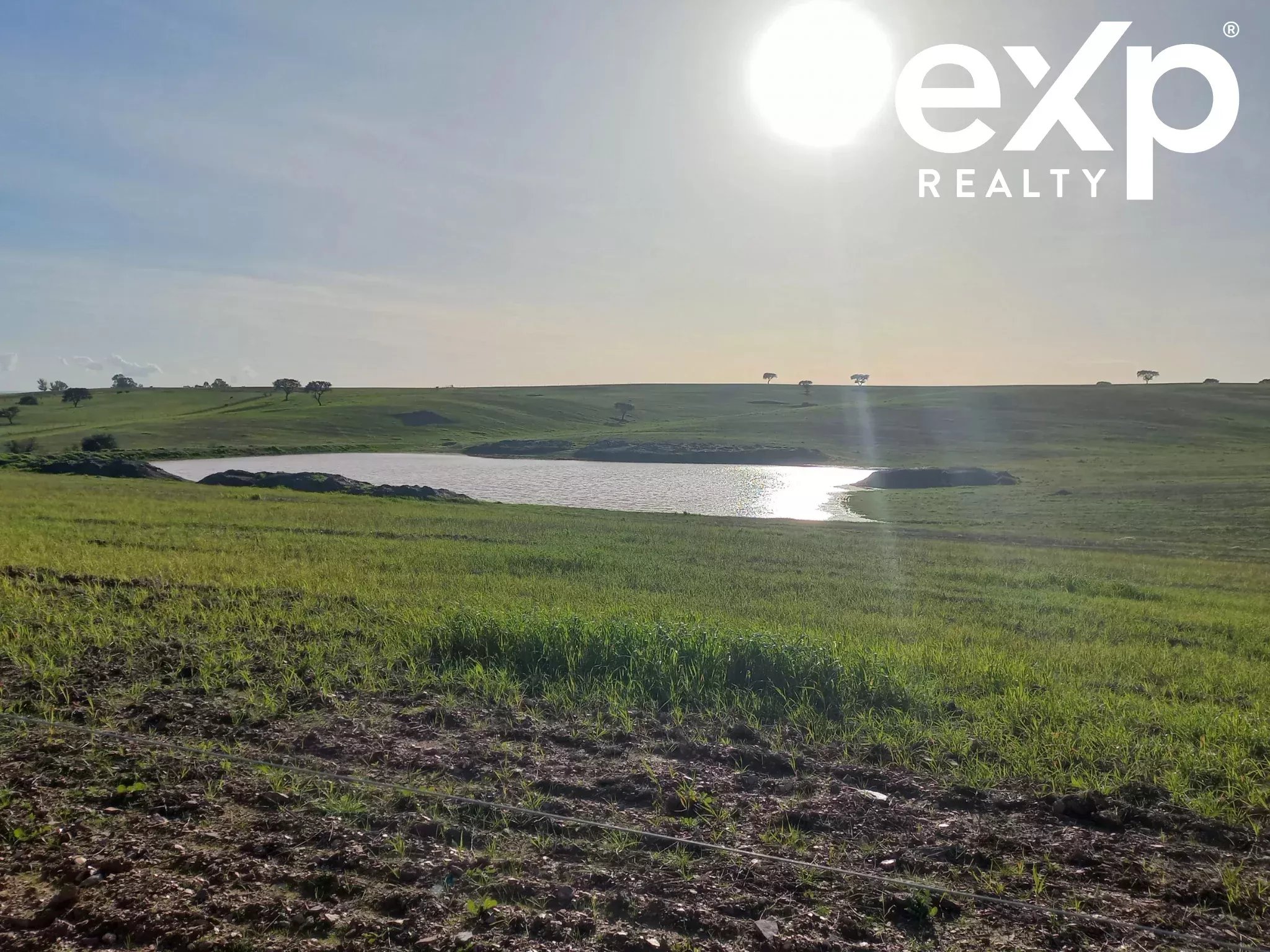 Herdade para Gado -Baixo Alentejo (Insurance for investors, funds and ICNF) 86742404 image 15