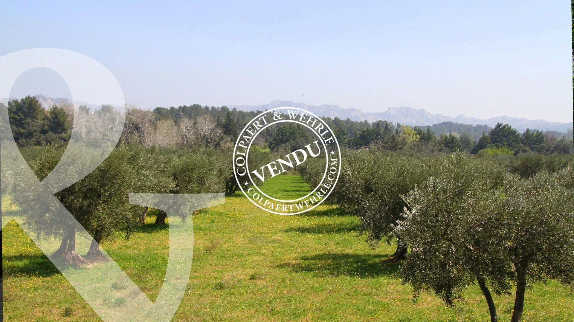 Sale Plot of land Maussane-les-Alpilles